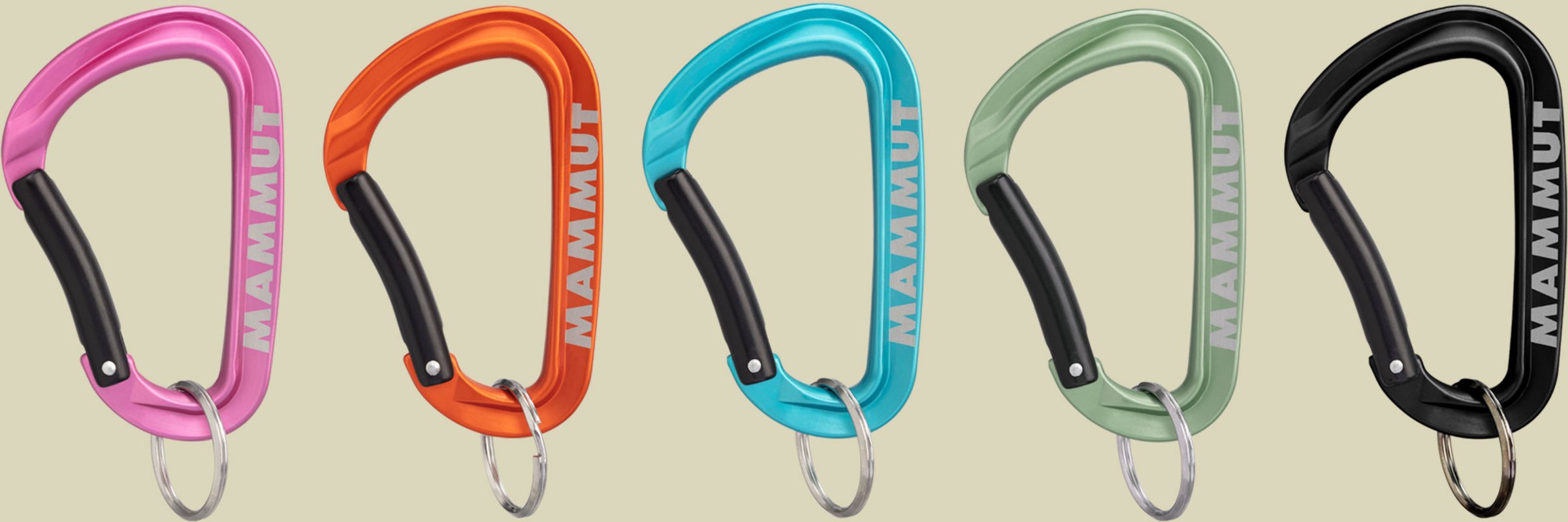 Mammut Mini Carabiner Workhorse Keylock L one size - assorted