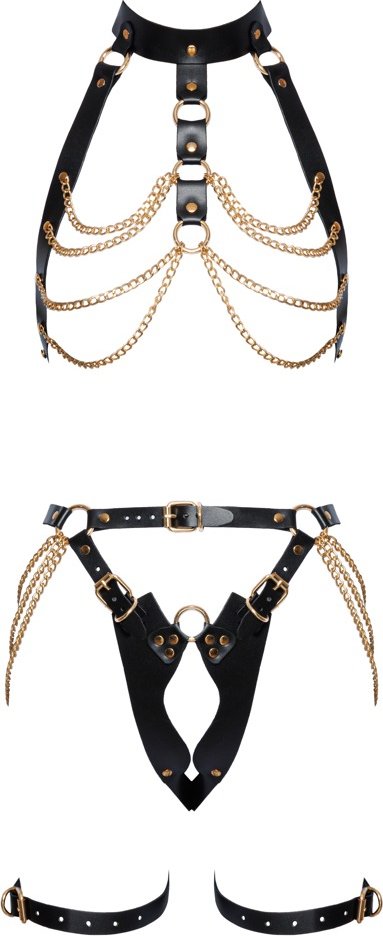 Harness-Set aus Leder