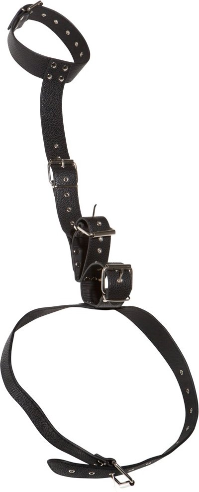 Hals-Handfessel mit Taillengurt