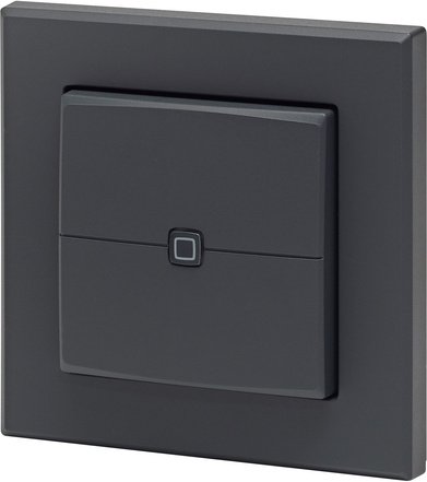 Homematic IP Smart Home Wandtaster – 2-fach, anthrazit, HmIP-WRC2-A-2