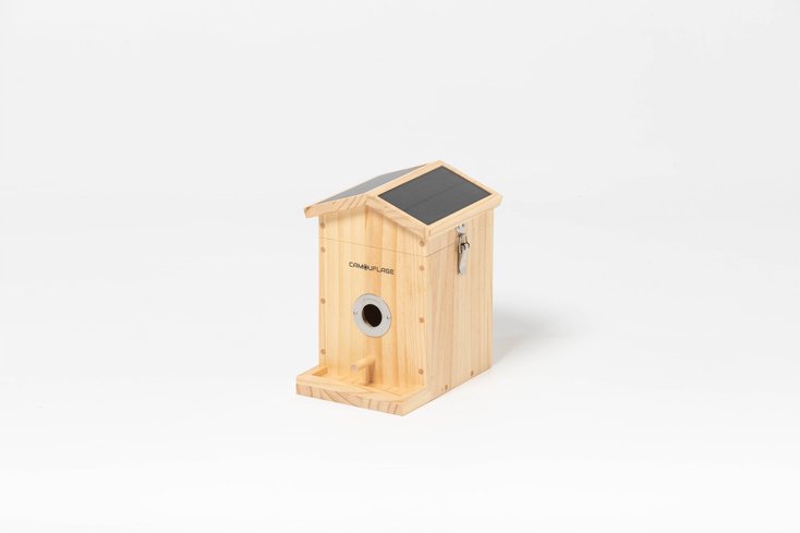 Camouflage EZ-NestEye Nistkasten / Vogelkamera, KI