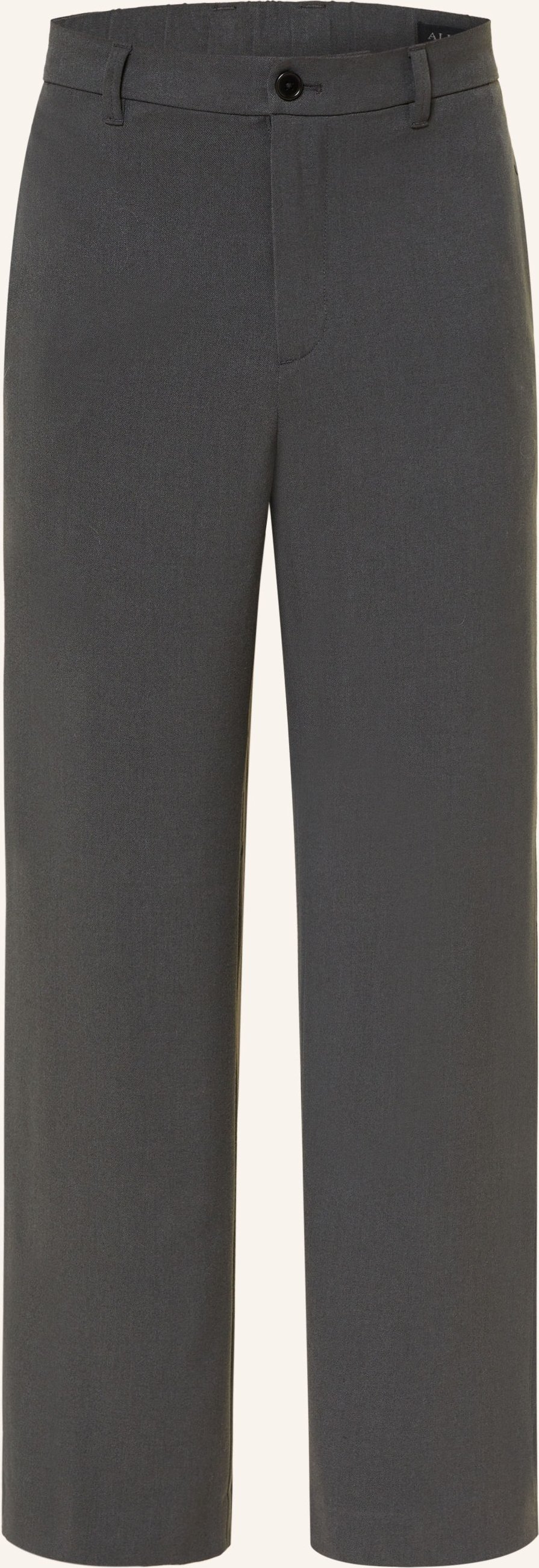 Allsaints Chino Halla Relaxed Wide Fit grau