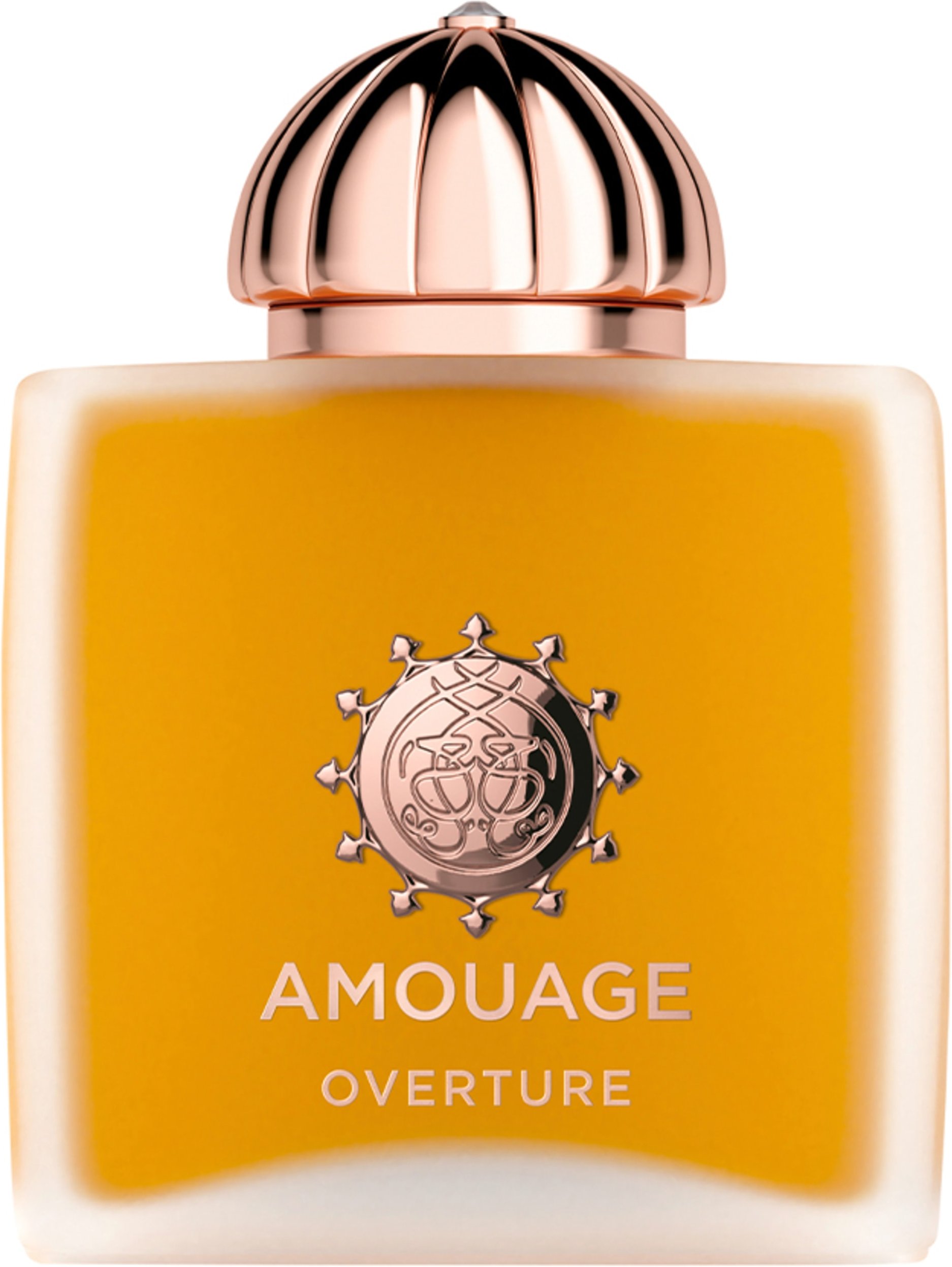 Amouage Overture Woman Eau de Parfum 100 ml