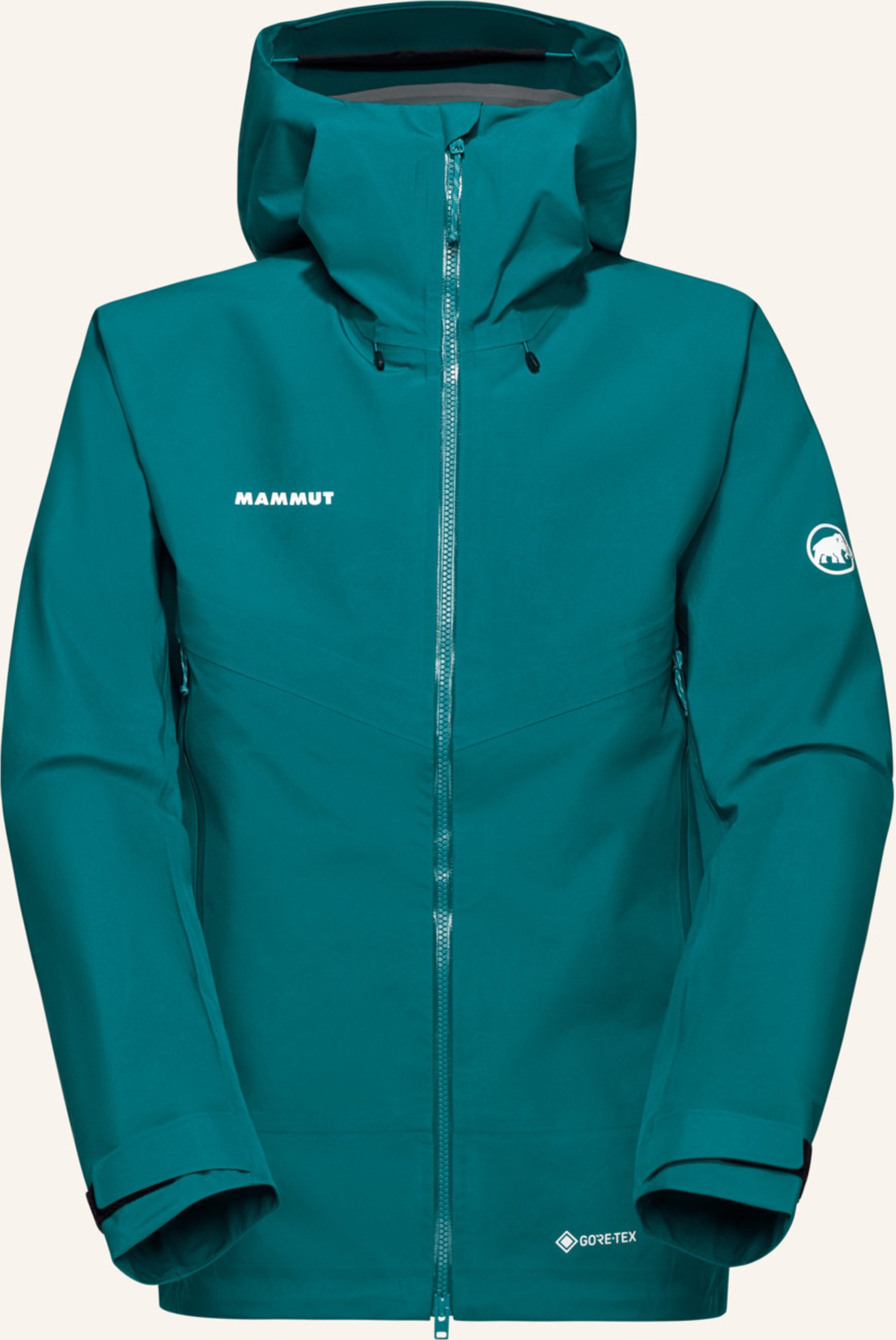 Mammut Crater Iv Hs Hooded Jacket Men gruen