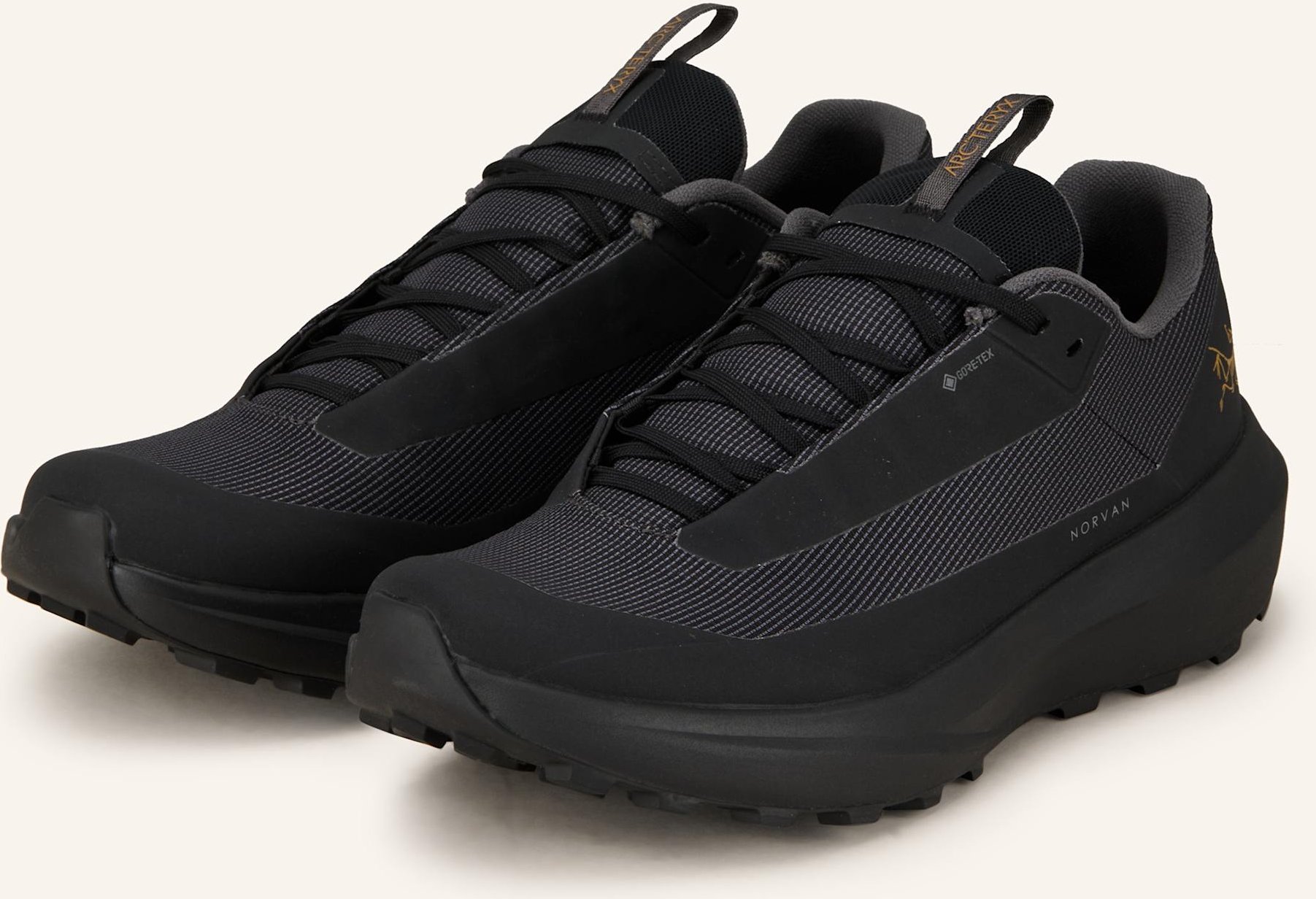 Arc'teryx Trailrunning-Schuhe Norvan Ld 4 Gtx schwarz