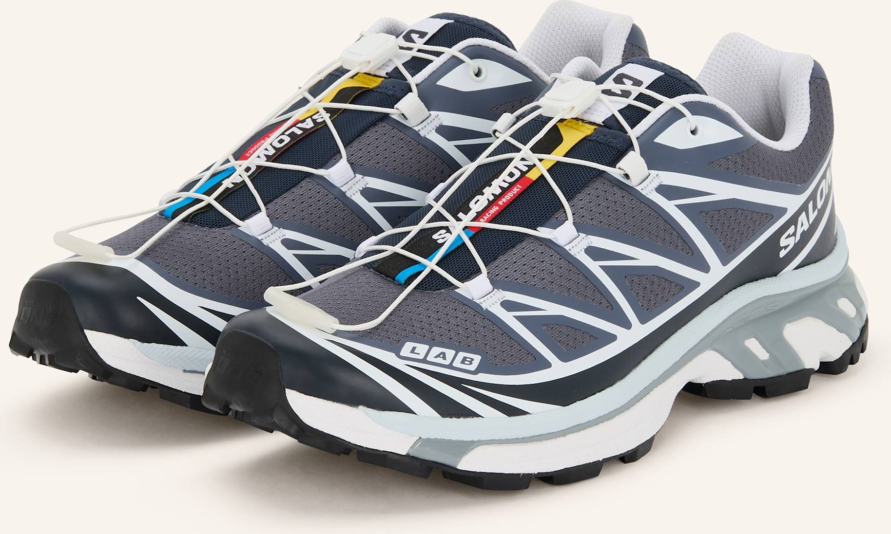 Salomon Trailrunning-Schuhe Xt-6 grau