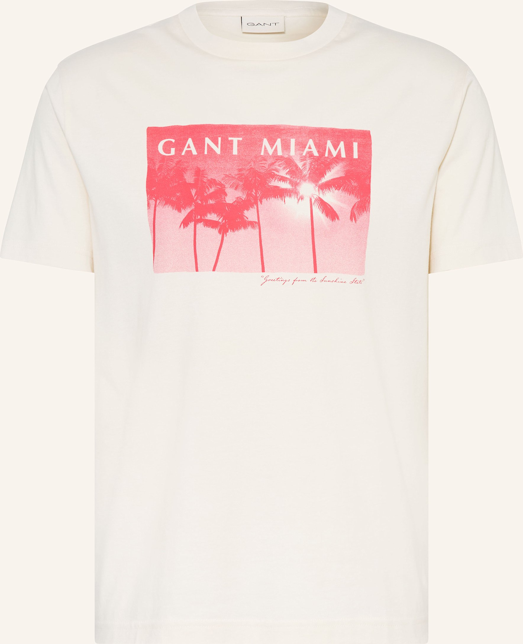 Gant T-Shirt beige