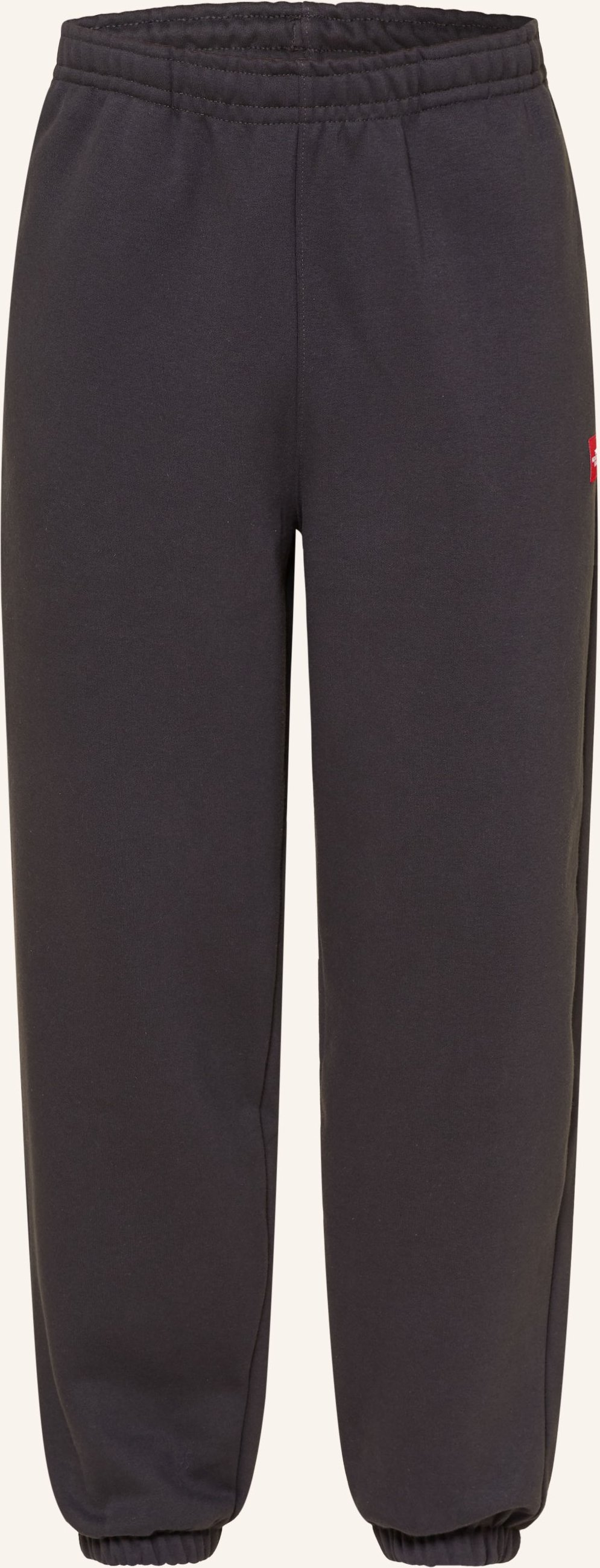 The North Face Sweatpants Redbox schwarz