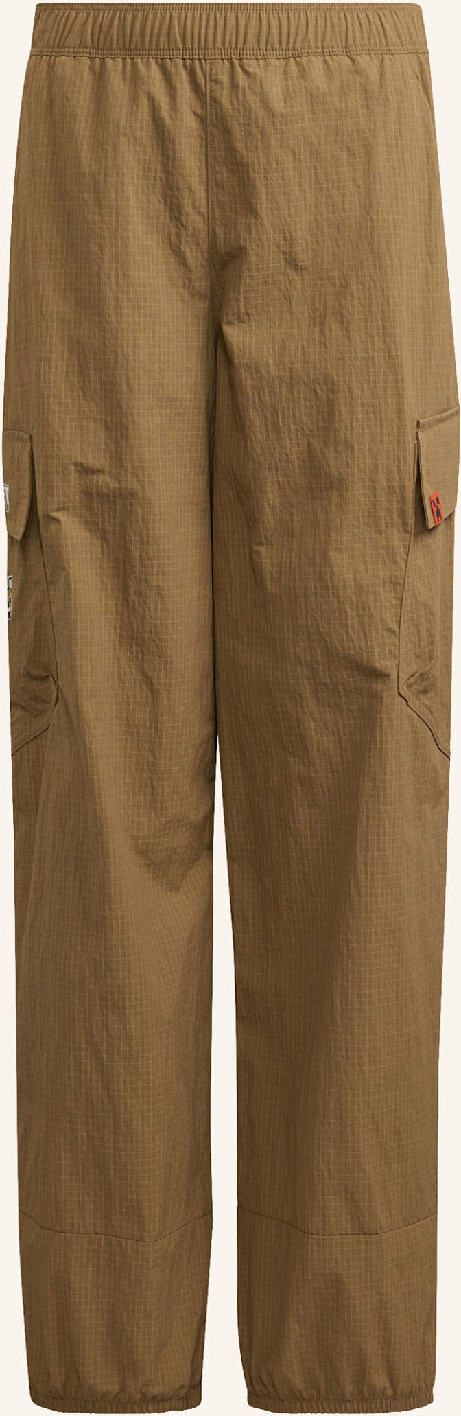 Adidas Terrex Adidas Minecraft Terrex clima365 Kids Cargohose braun