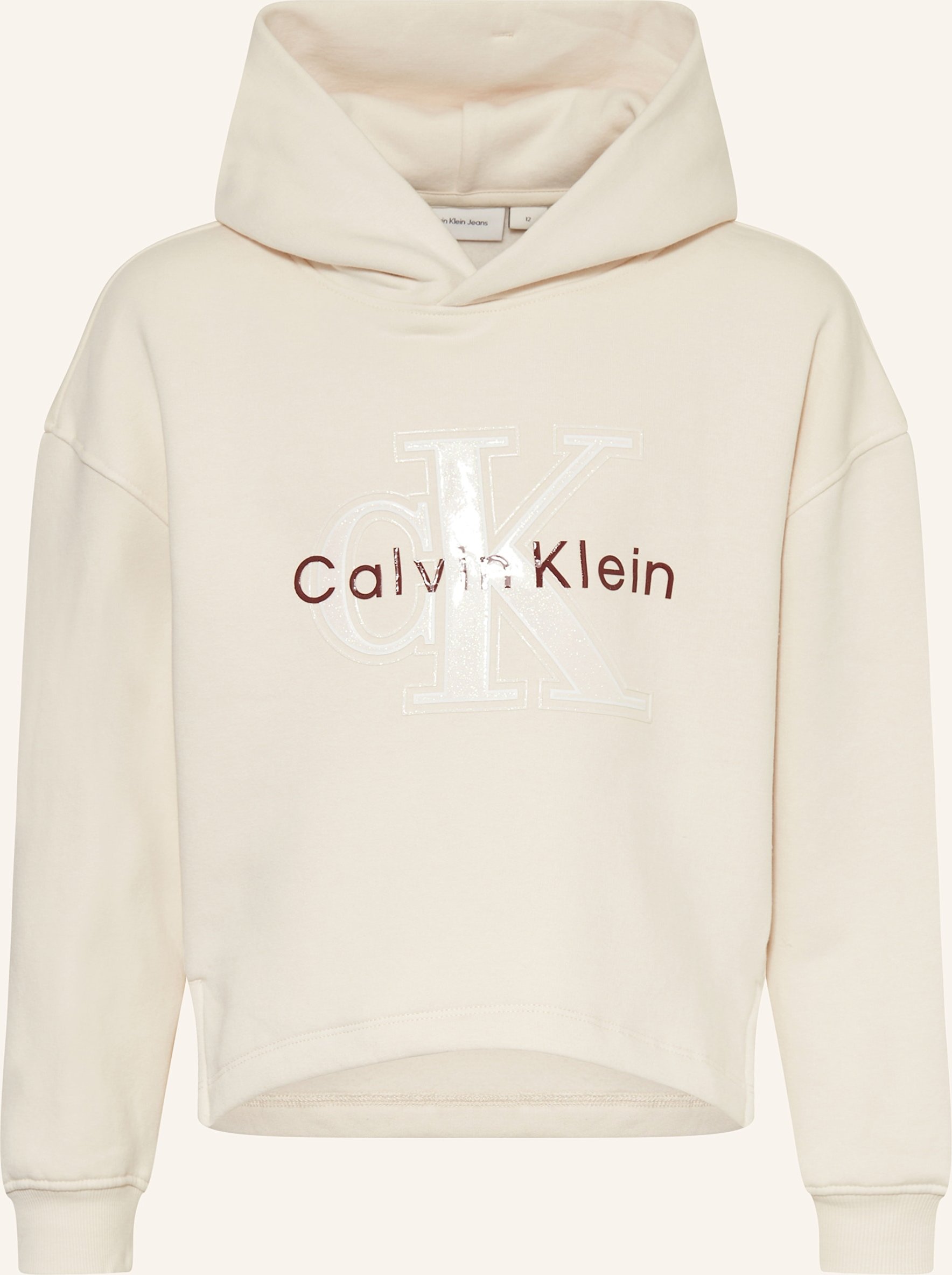 Calvin Klein Hoodie grau