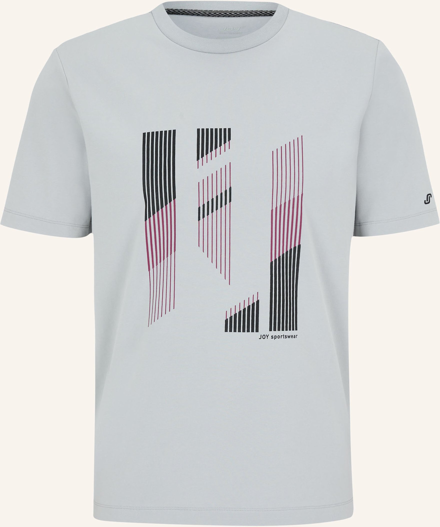 Joy Sportswear T-Shirt Mischa grau
