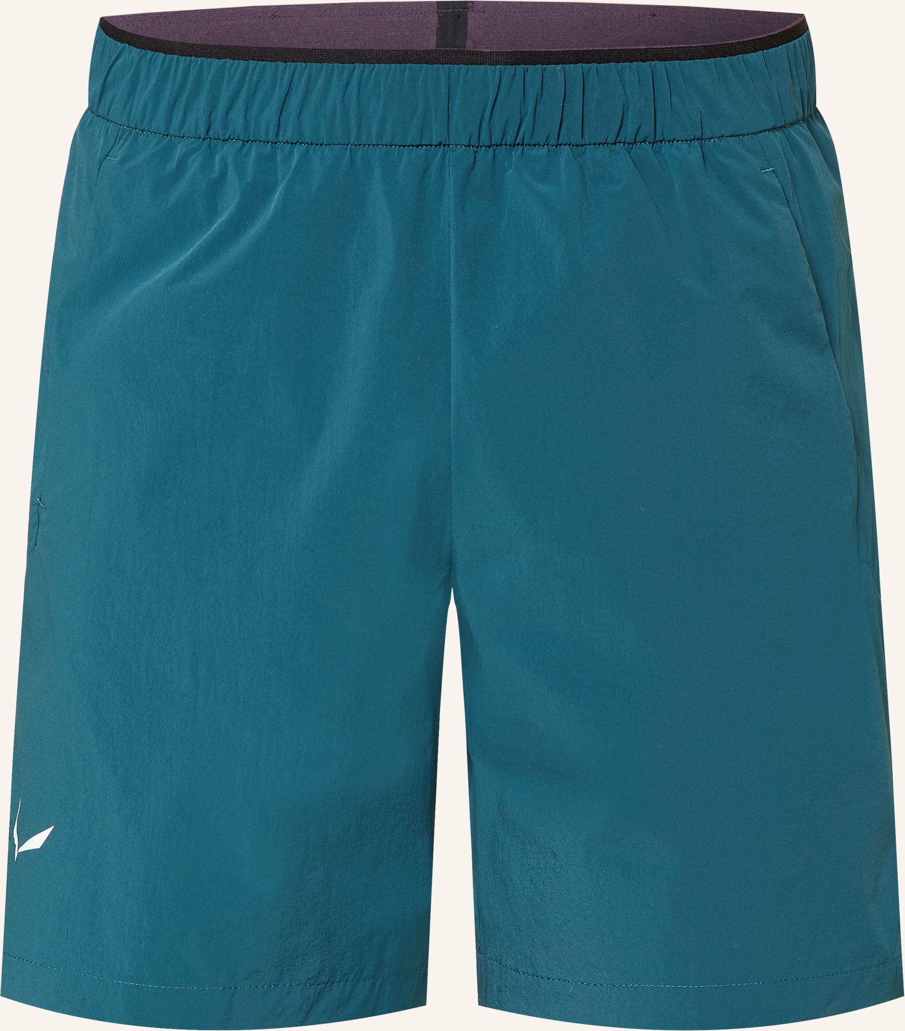 Salewa Trekkingshorts Pedroc Dst Light blau