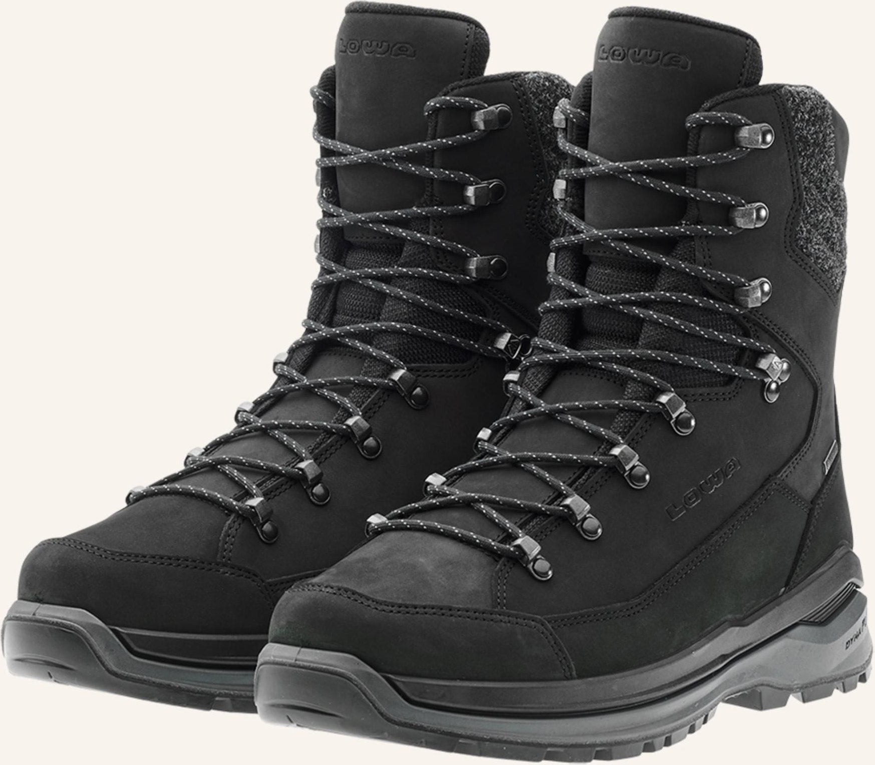 Lowa Outdoor-Schuhe Renegade Evo Ice 2 Gtx schwarz