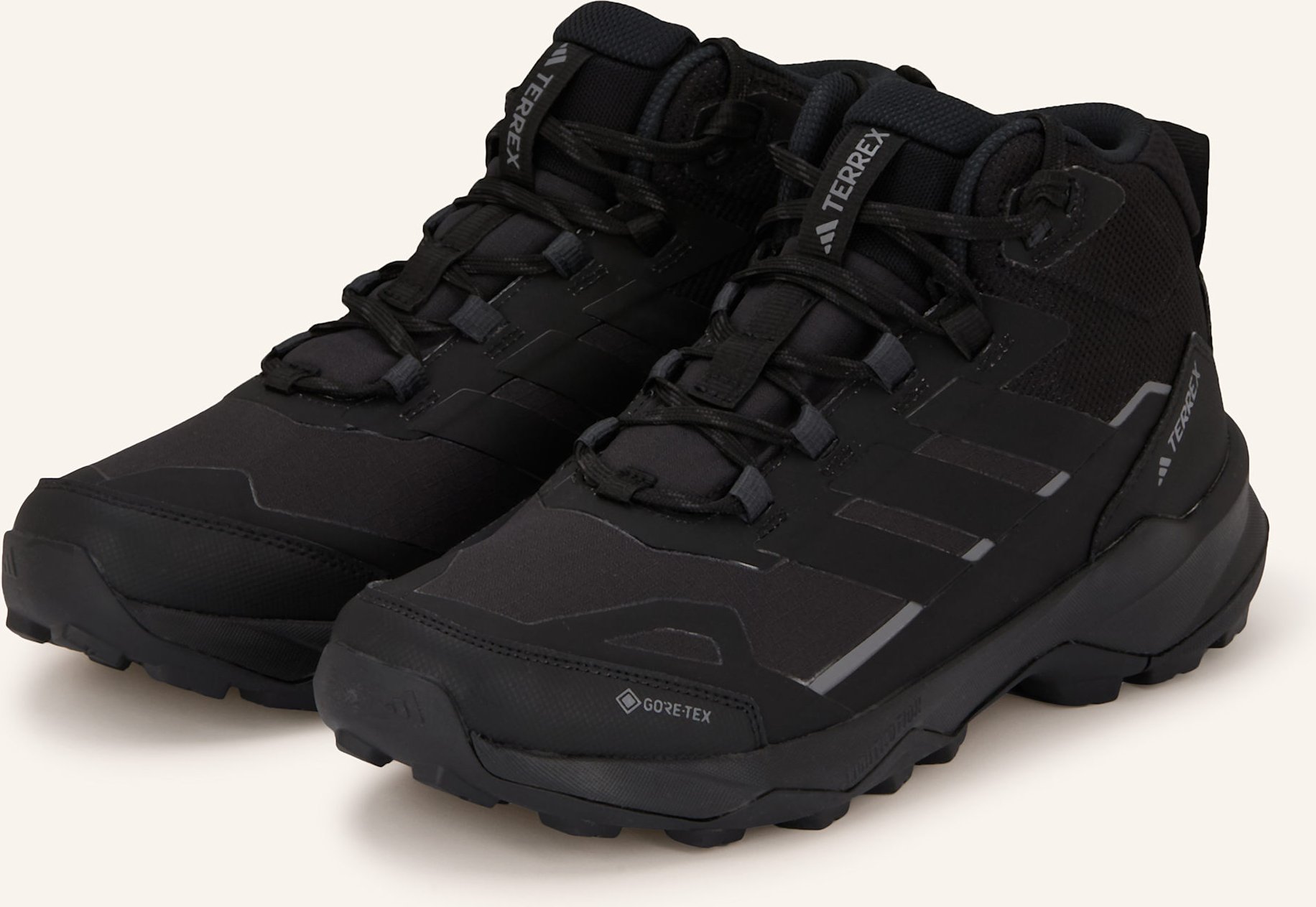 Adidas Terrex Wanderschuhe Terrex Skychaser ax5 Mid Gore-Tex schwarz