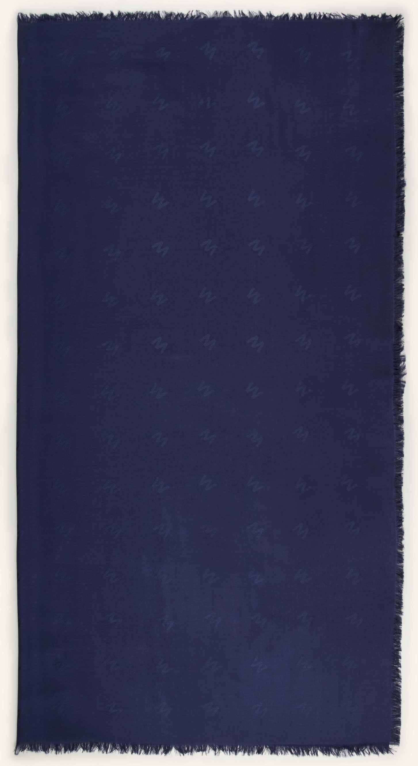 Weekend Max Mara Schal Acedro blau