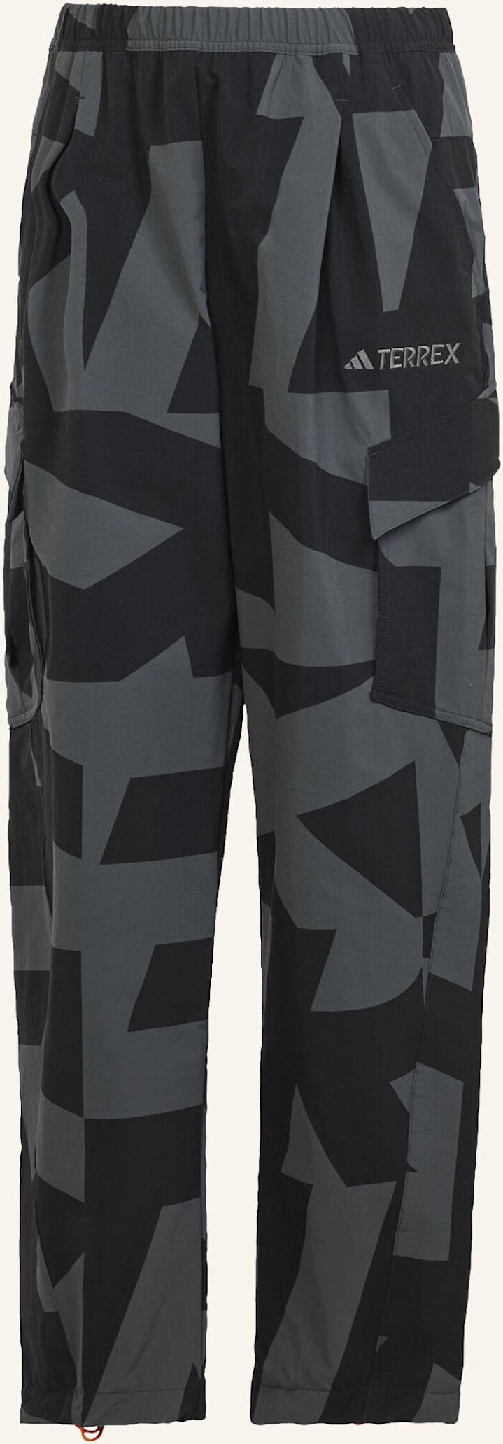 Adidas Terrex Trekkinghose Terrex Xploric Printed schwarz