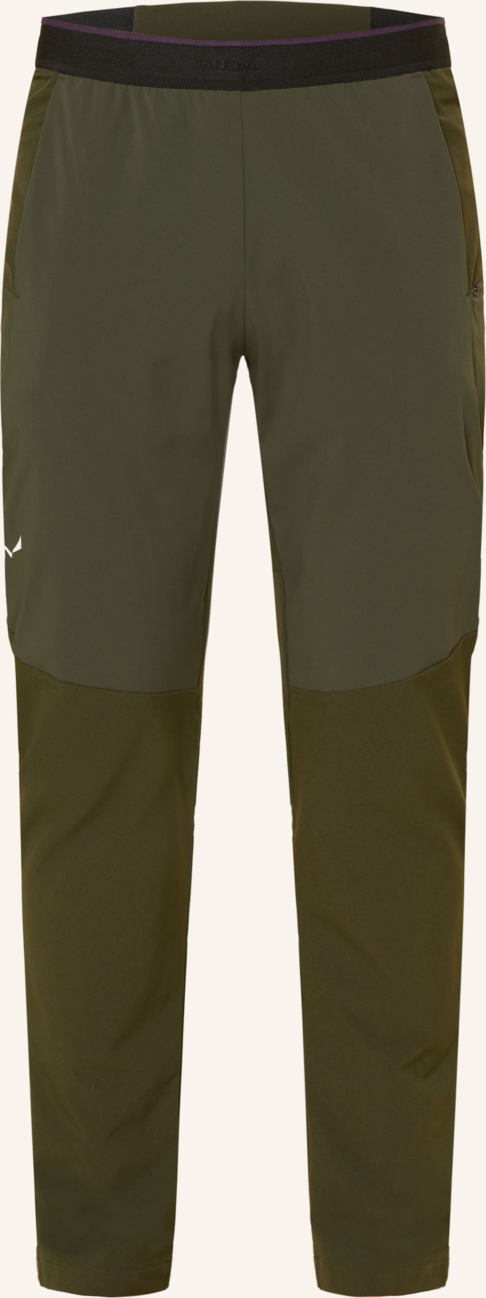 Salewa Softshell-Hose Pedroc Stormwall Winter gruen