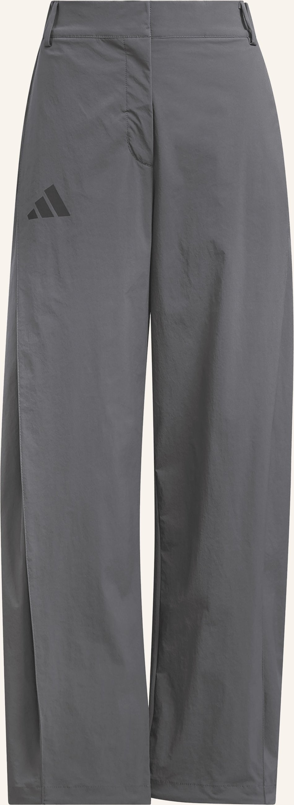Adidas Terrex Trekkinghose Terrex Xploric grau