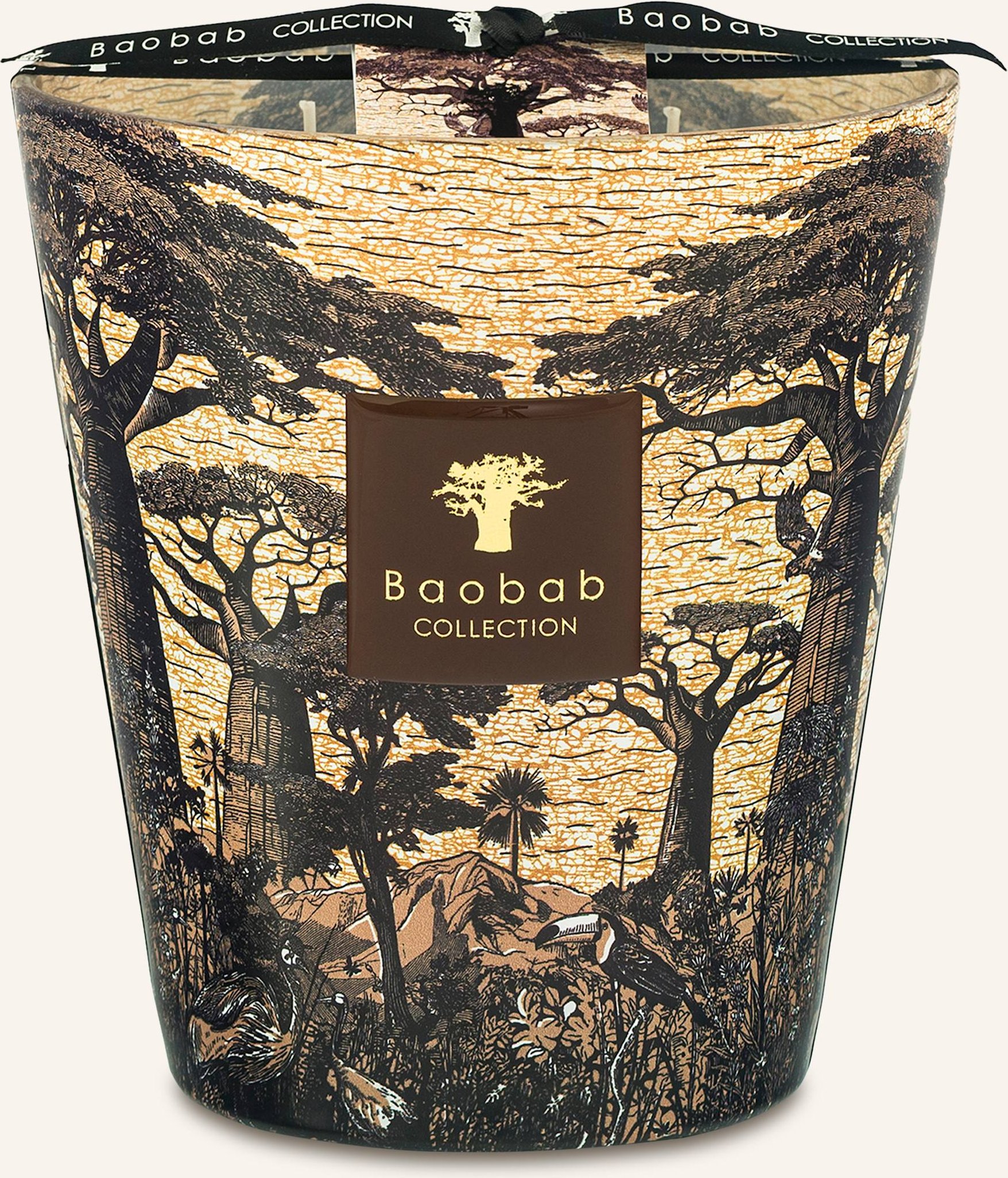 Baobab Collection Duftkerze Sacred Trees Mankono braun