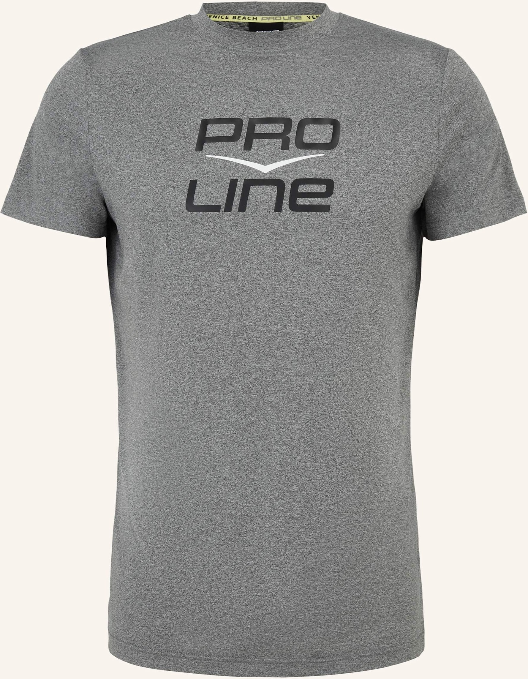 Venice Beach T-Shirt Pro Line Wichita grau