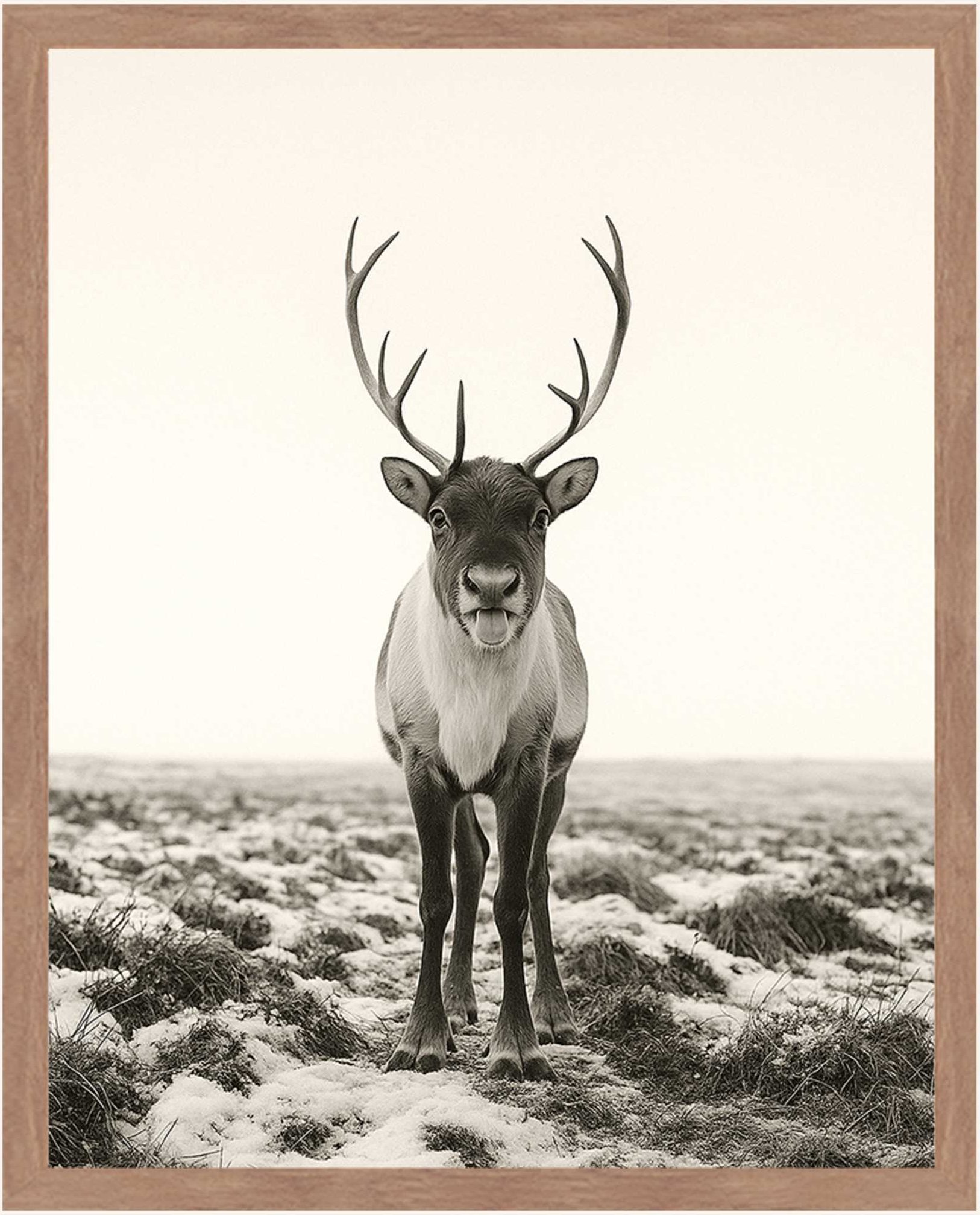 Liv Corday Wandbild Freches Rentier Mit Rahmen braun