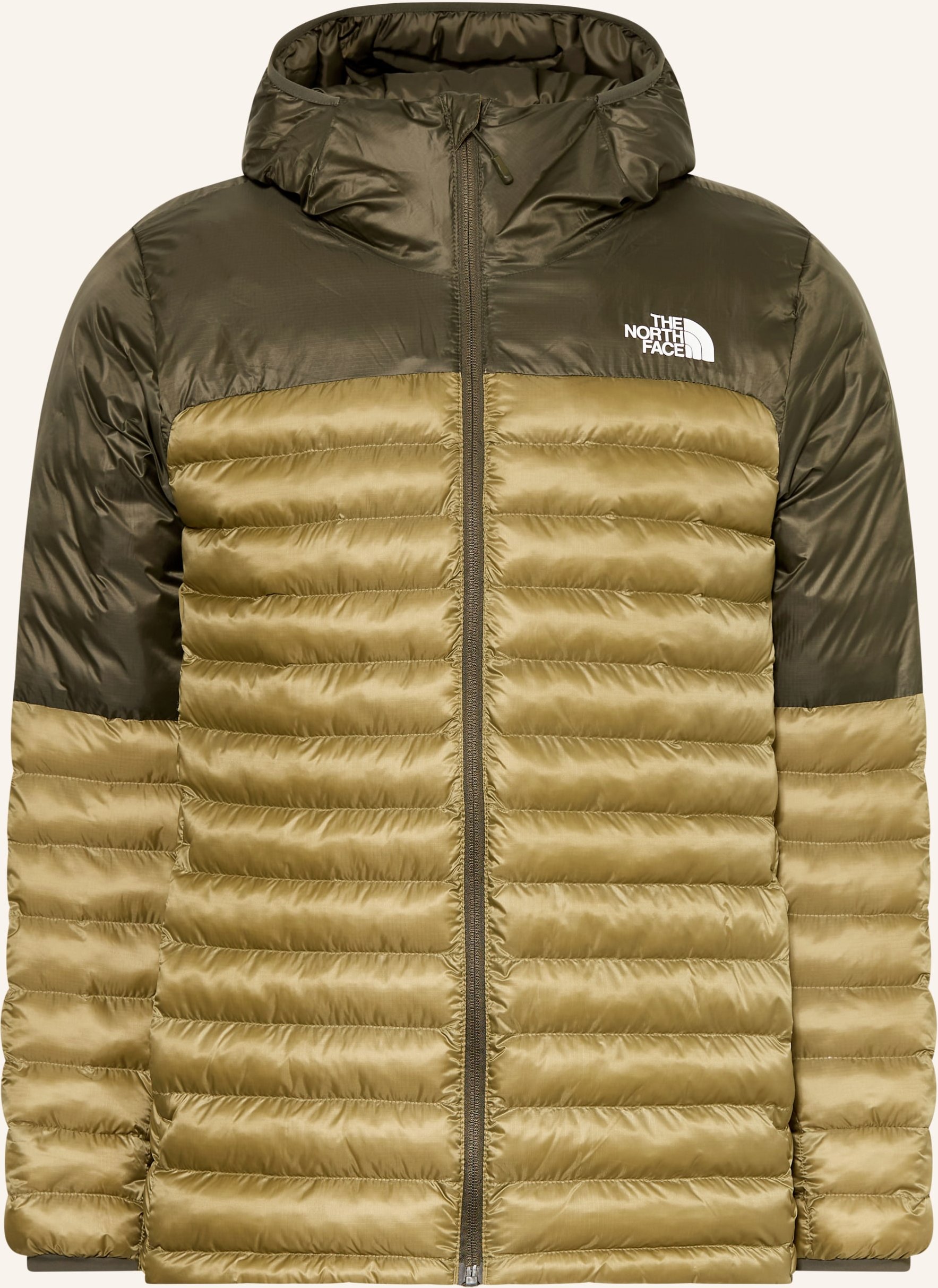 The North Face Steppjacke Terra Peak Hoodie gruen