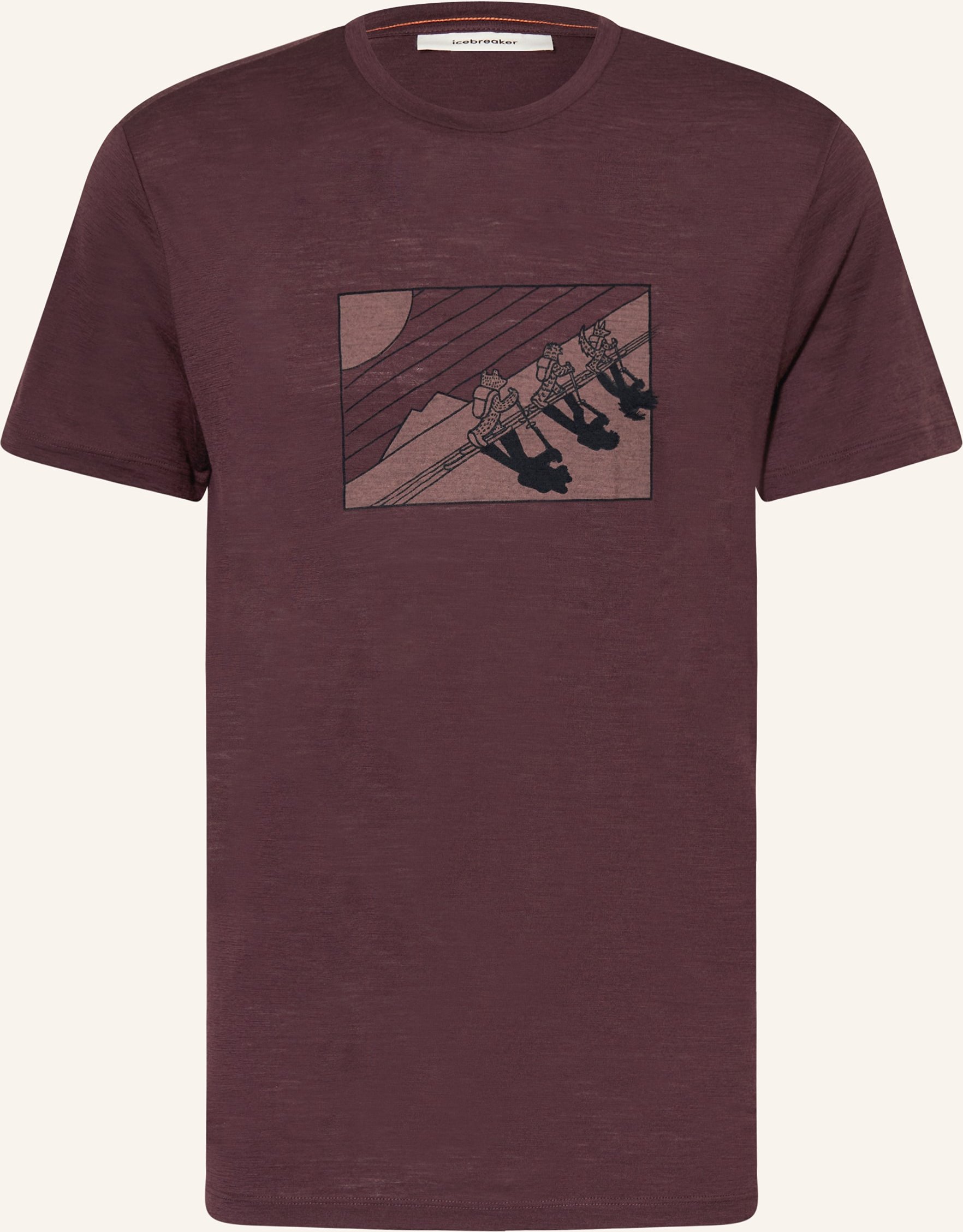 Icebreaker T-Shirt Aus Merinowolle rot