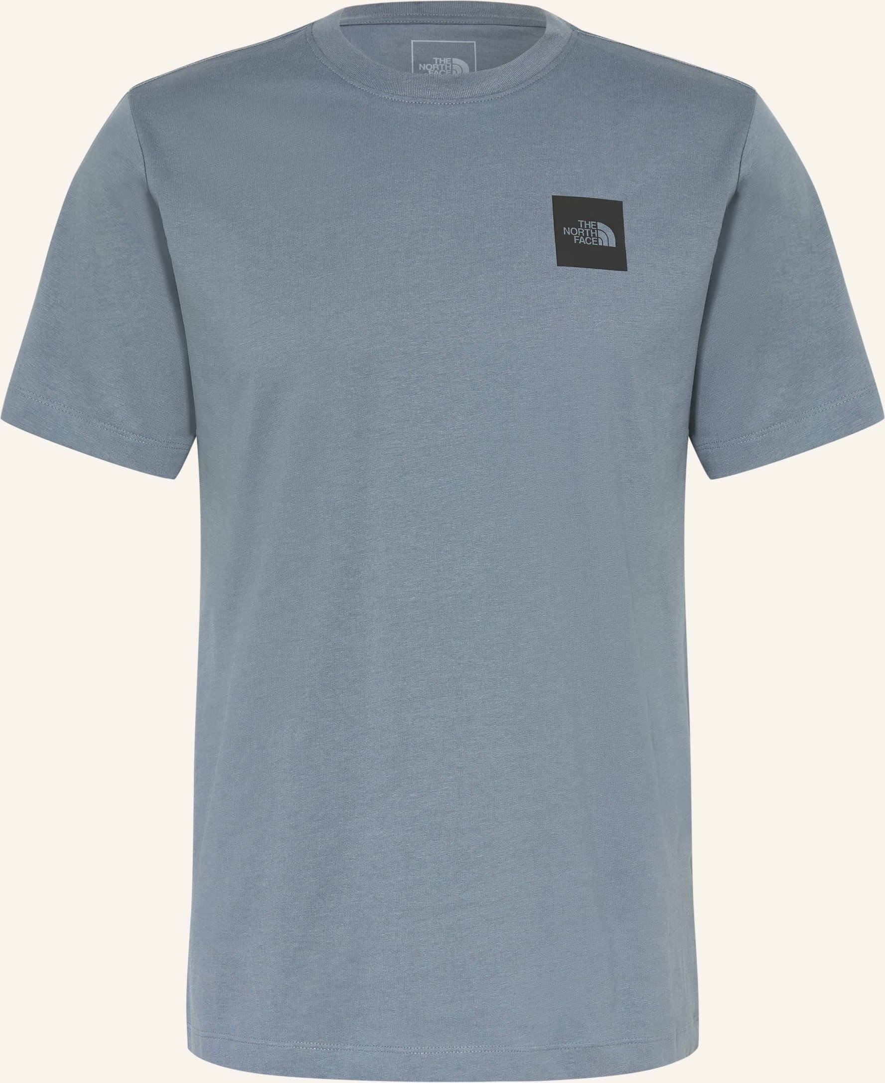 The North Face T-Shirt Evolution Box Half Dome grau