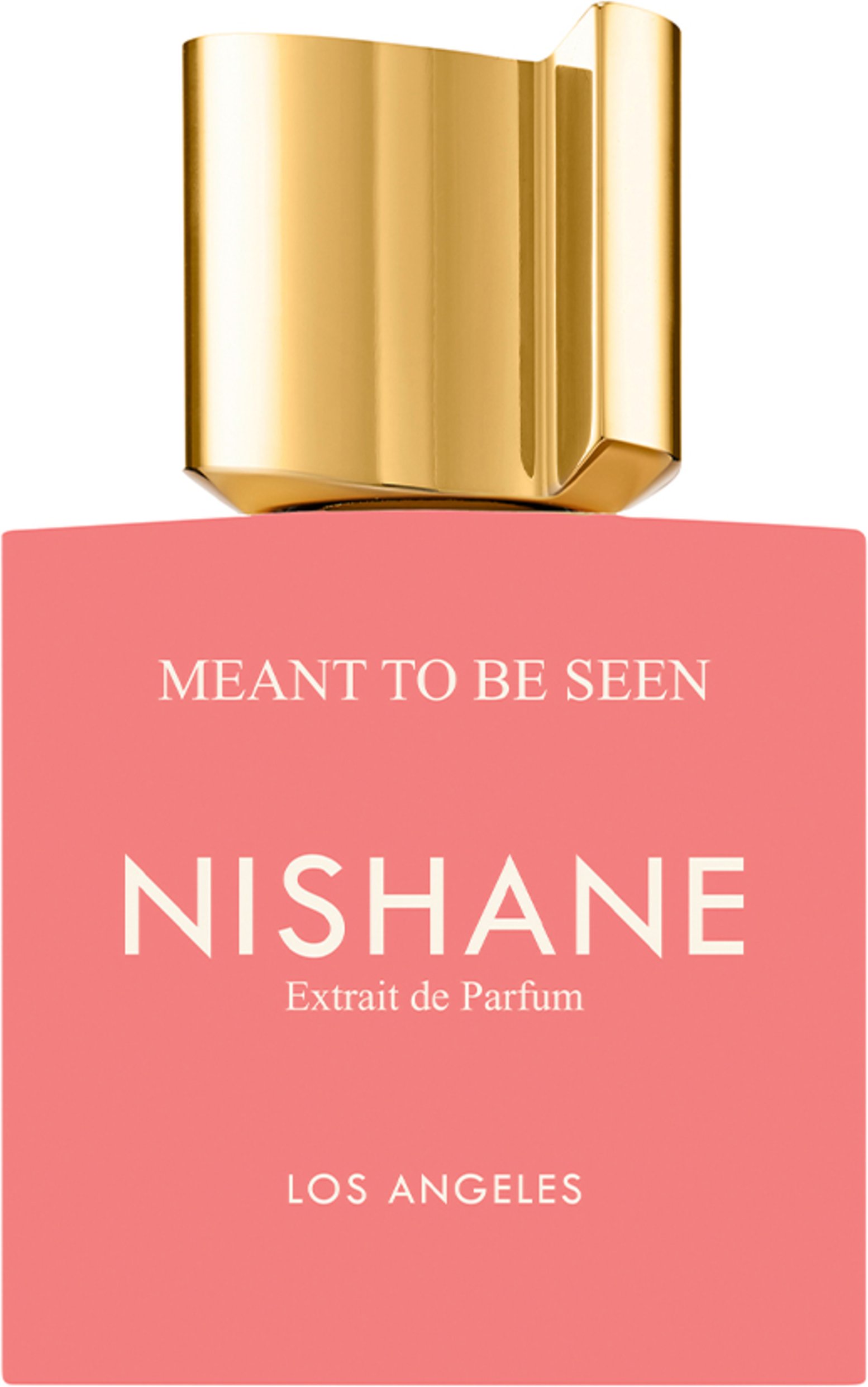 Nishane Meant To Be Seen Extrait de Parfum 50 ml