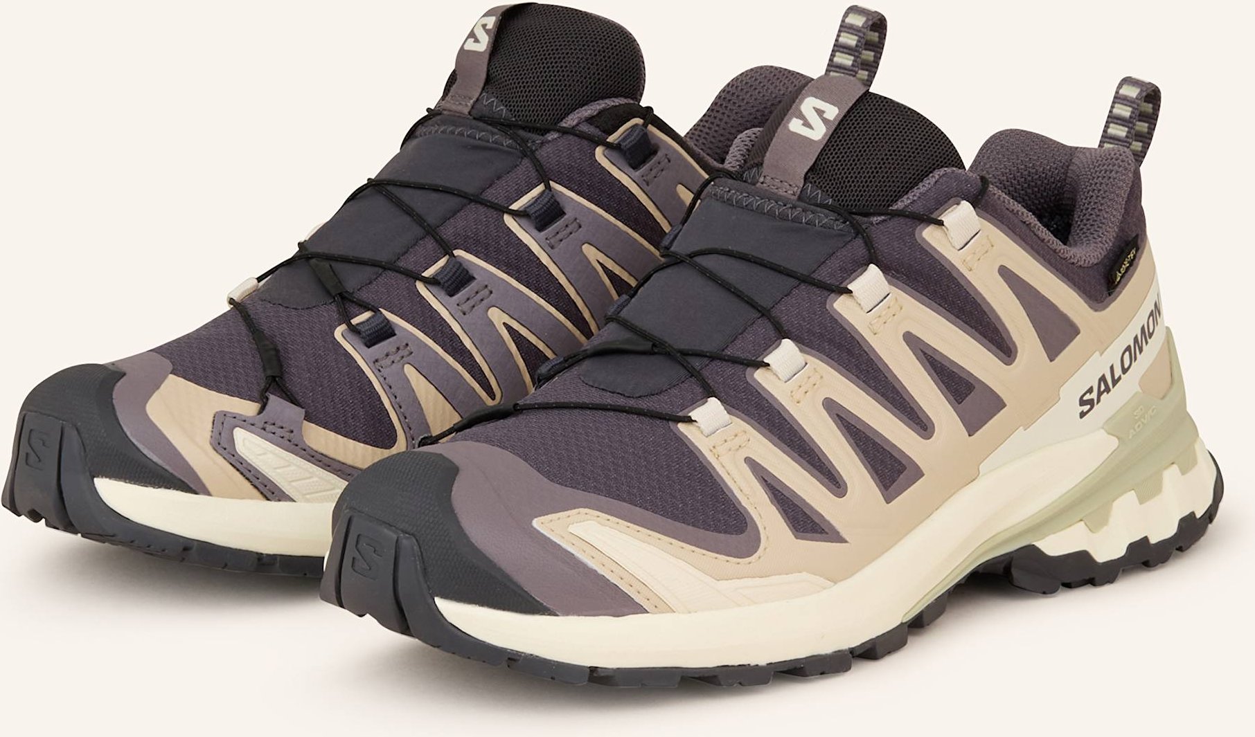 Salomon Wanderschuhe Xa Pro 3d v9 Gtx grau