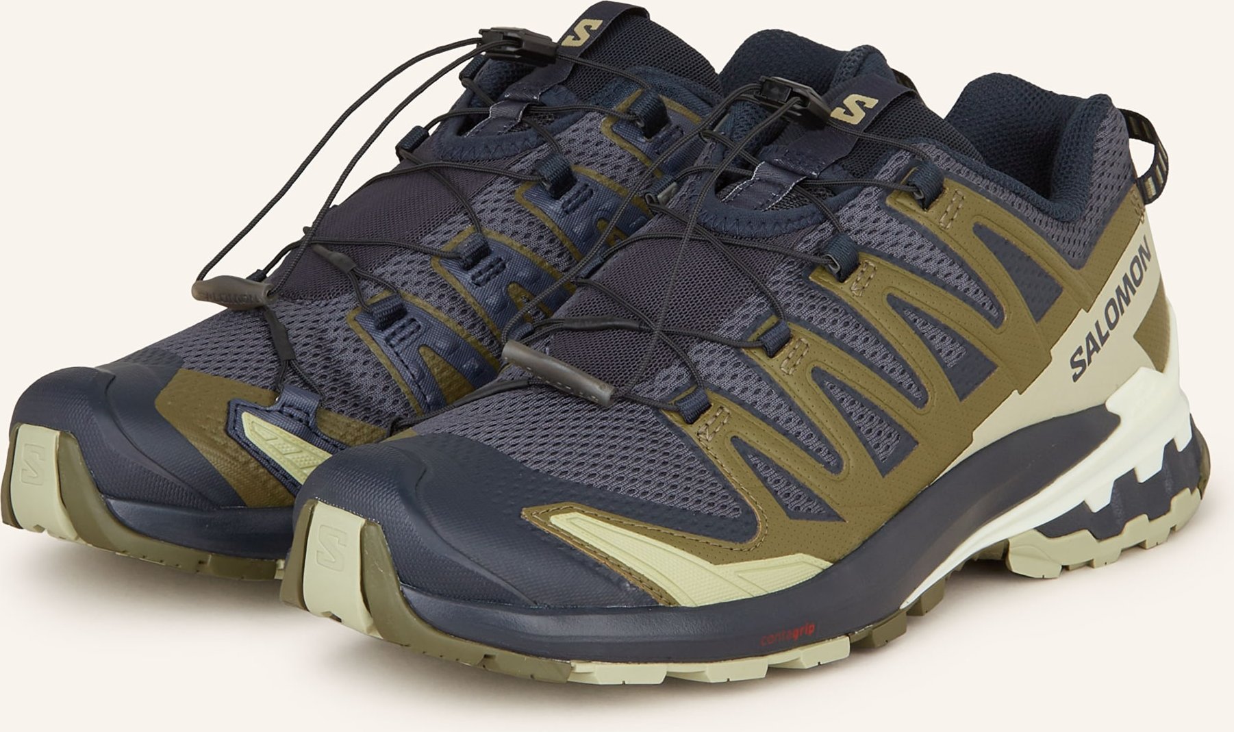 Salomon Wanderschuhe Xa Pro 3d v9 grau