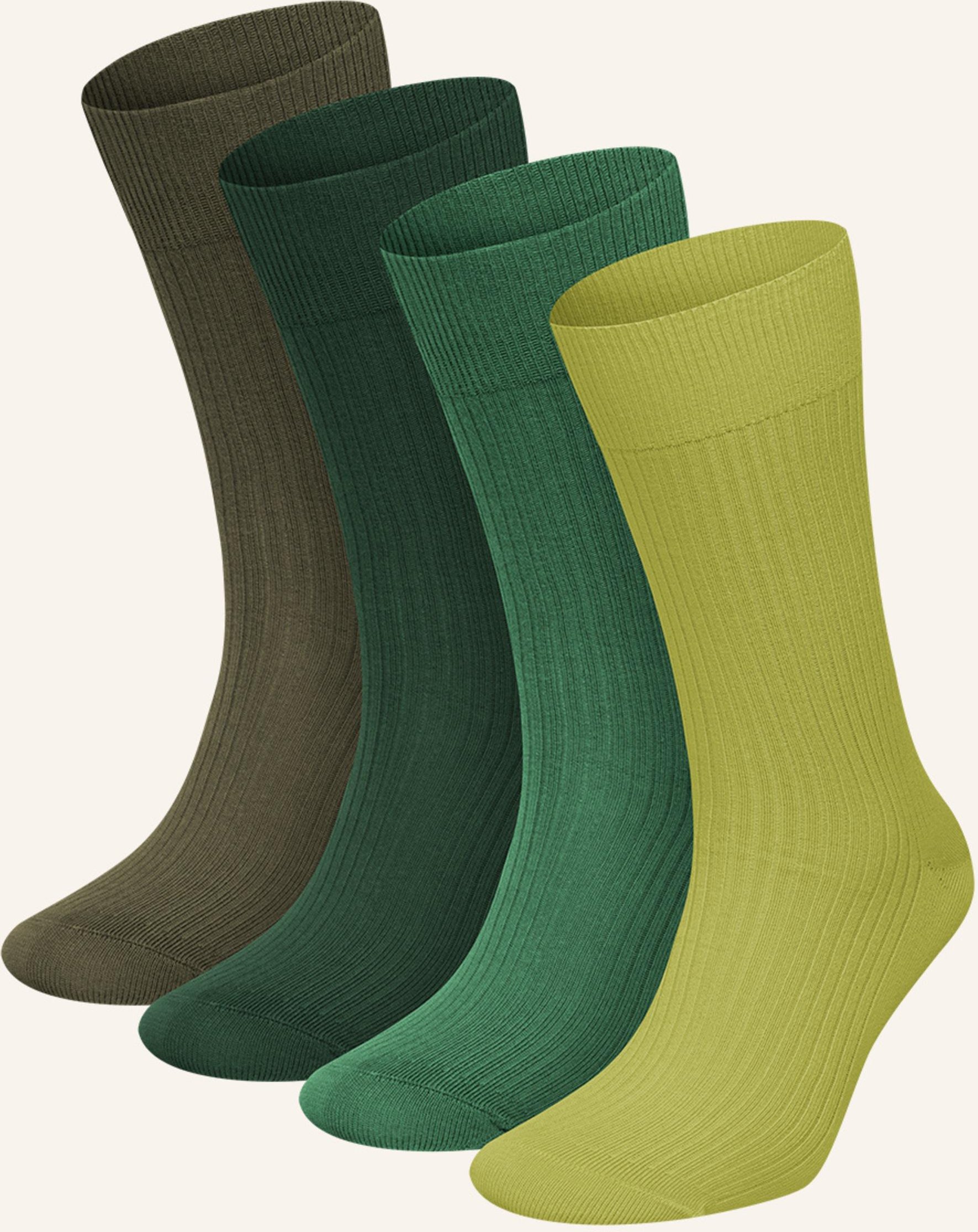 Dillysocks 4er-Pack Socken Premium Ribbed Collection gruen