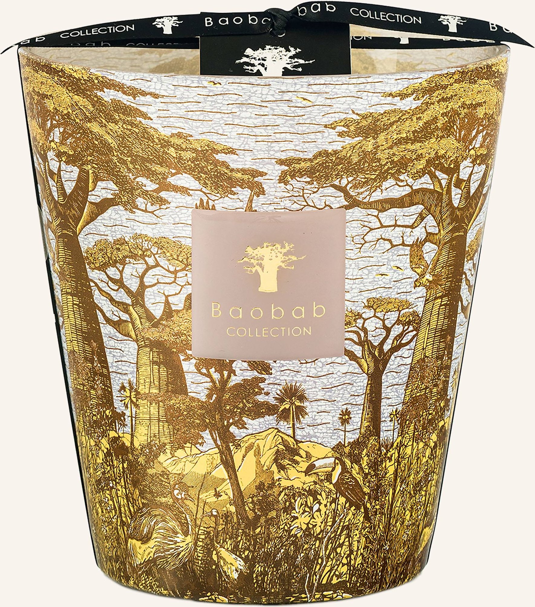 Baobab Collection Duftkerze Sacred Trees Bounkani gelb