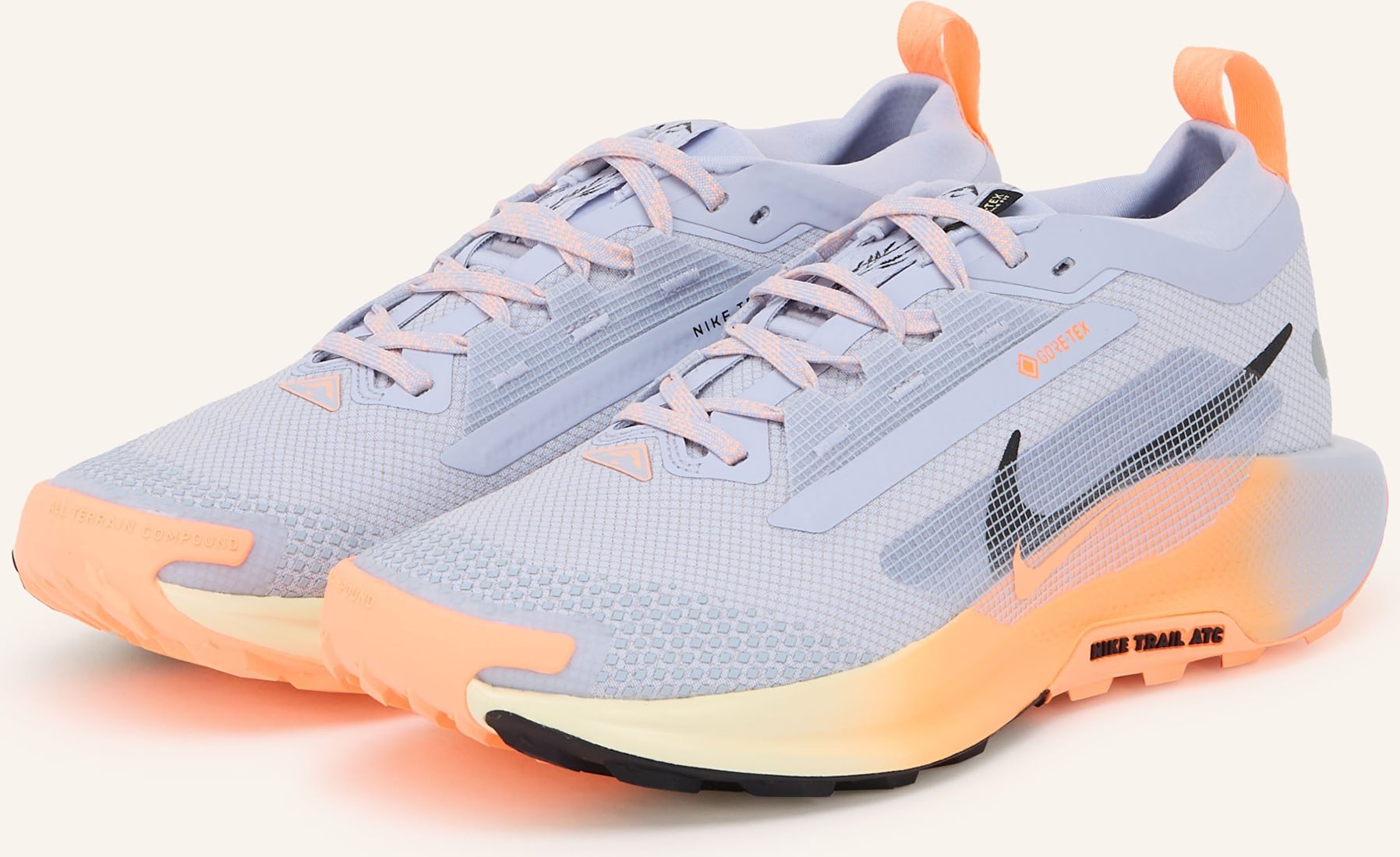 Nike Trailrunning-Schuhe Pegasus Trail 5 Gtx lila