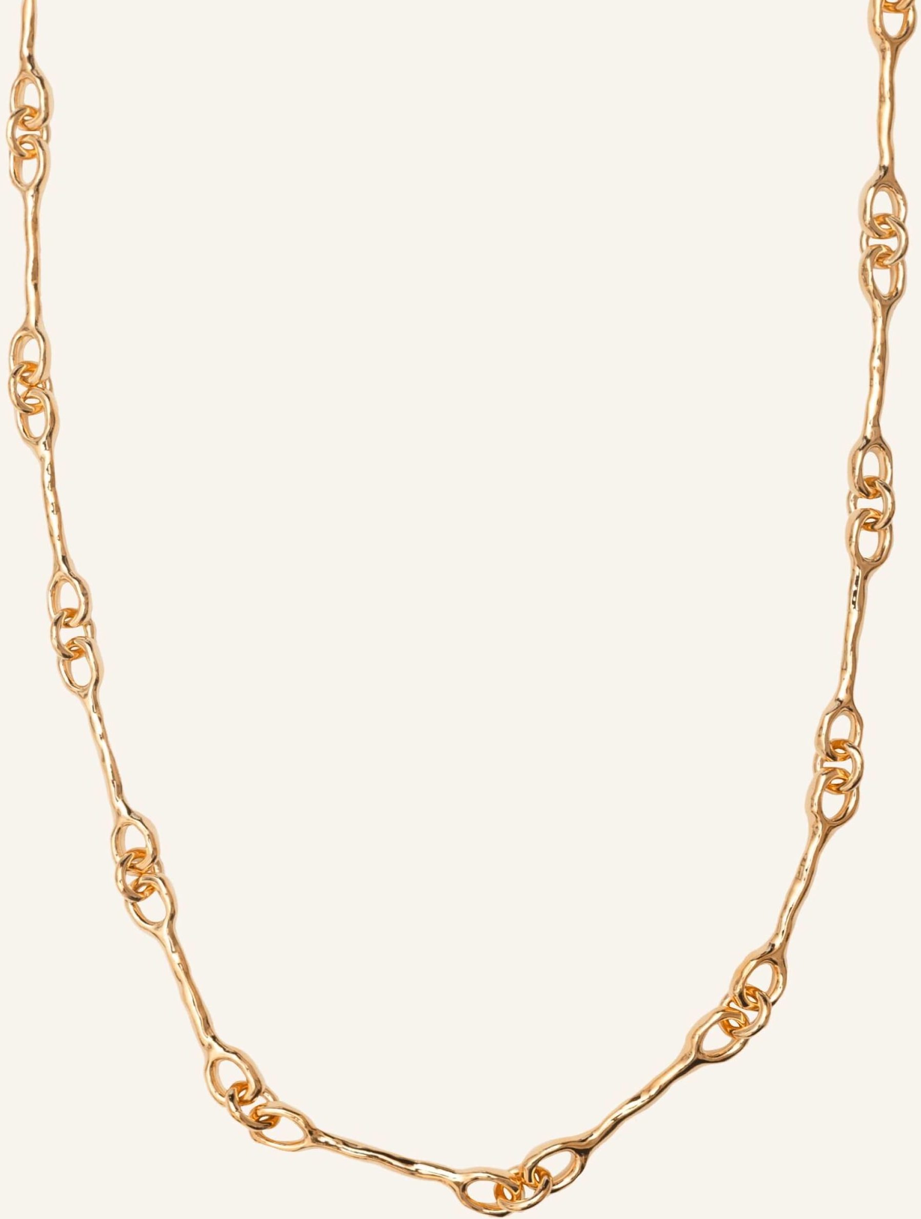 Alhaja Halskette Nautilus Gold By Glambou gold