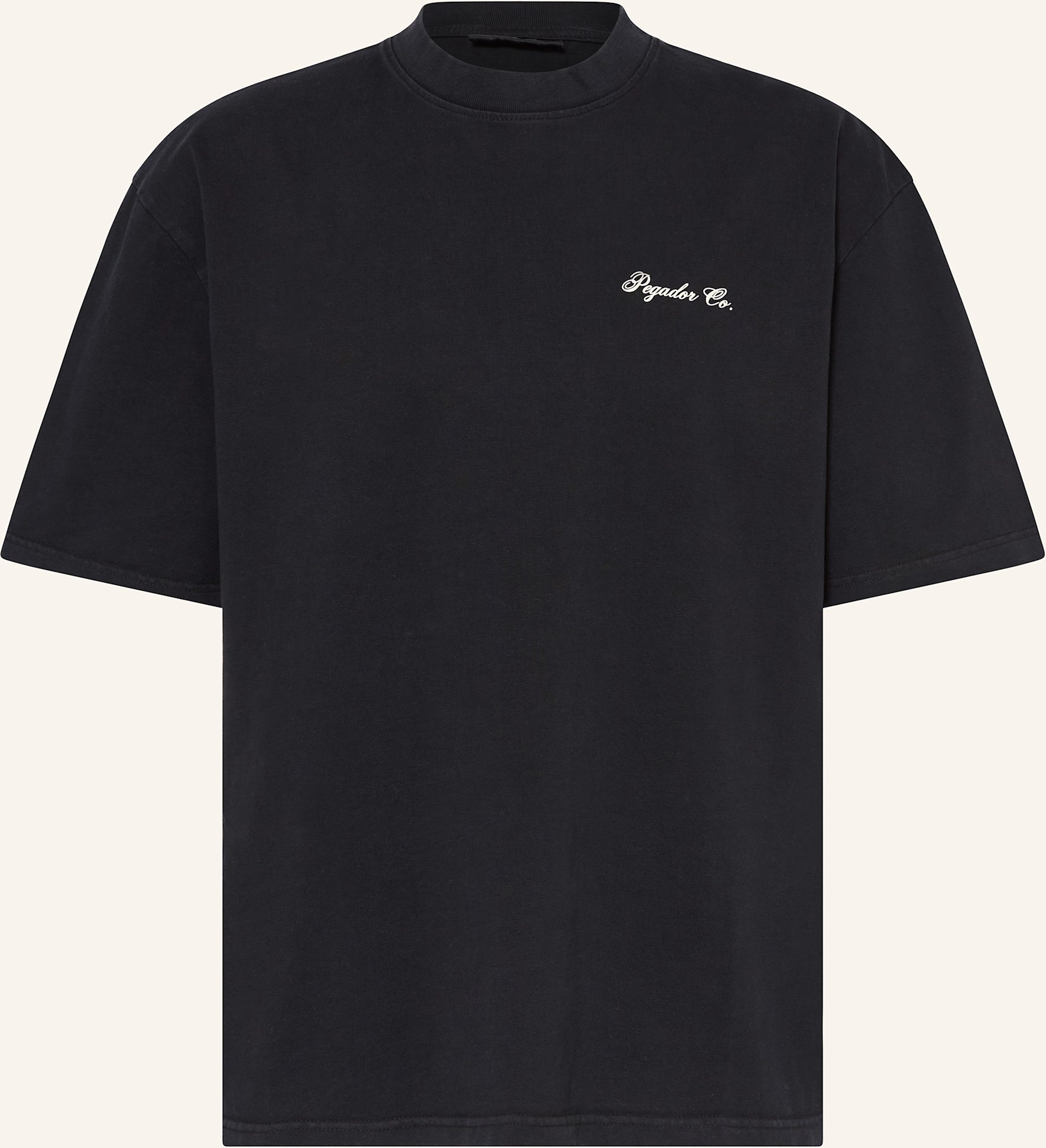 Pegador T-Shirt Dalzel schwarz