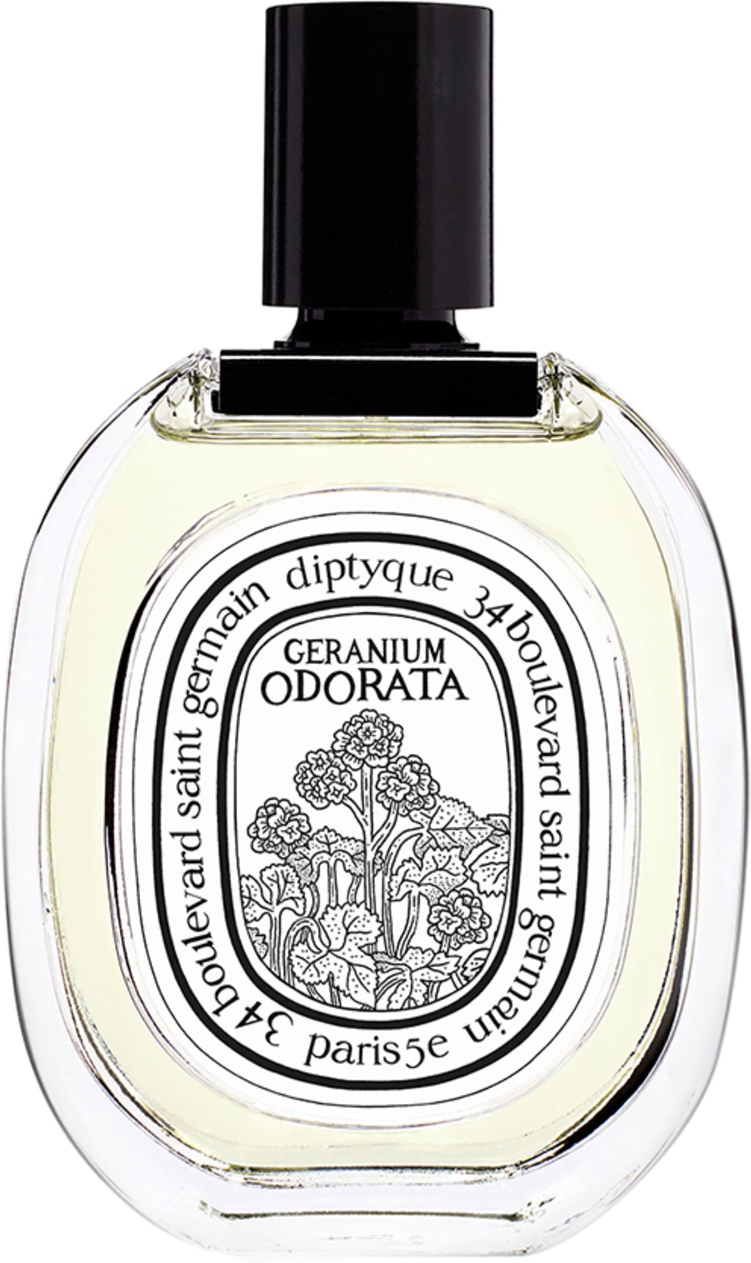 Diptyque Eau Geranium Odorata Eau de Toilette 100 ml