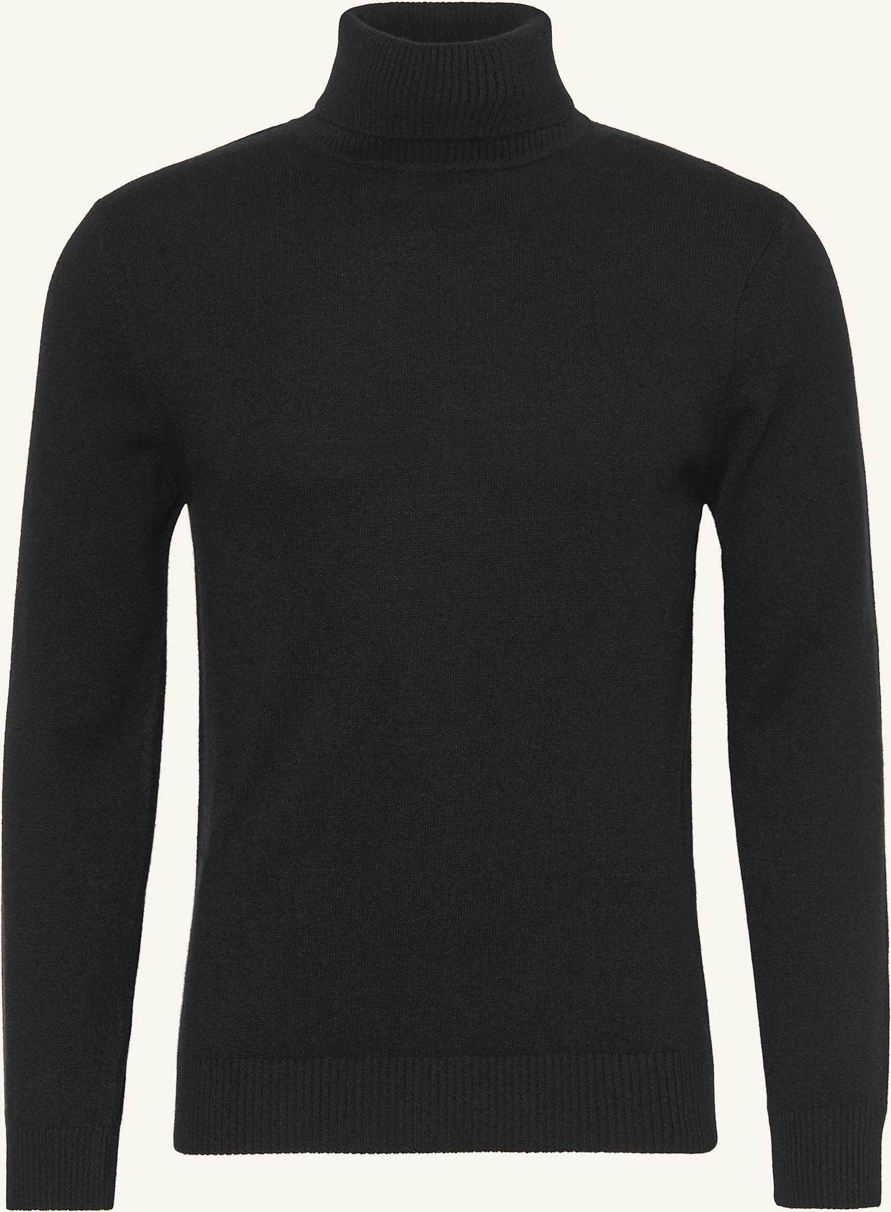 Daniele Fiesoli Rollkragenpullover Aus Cashmere schwarz