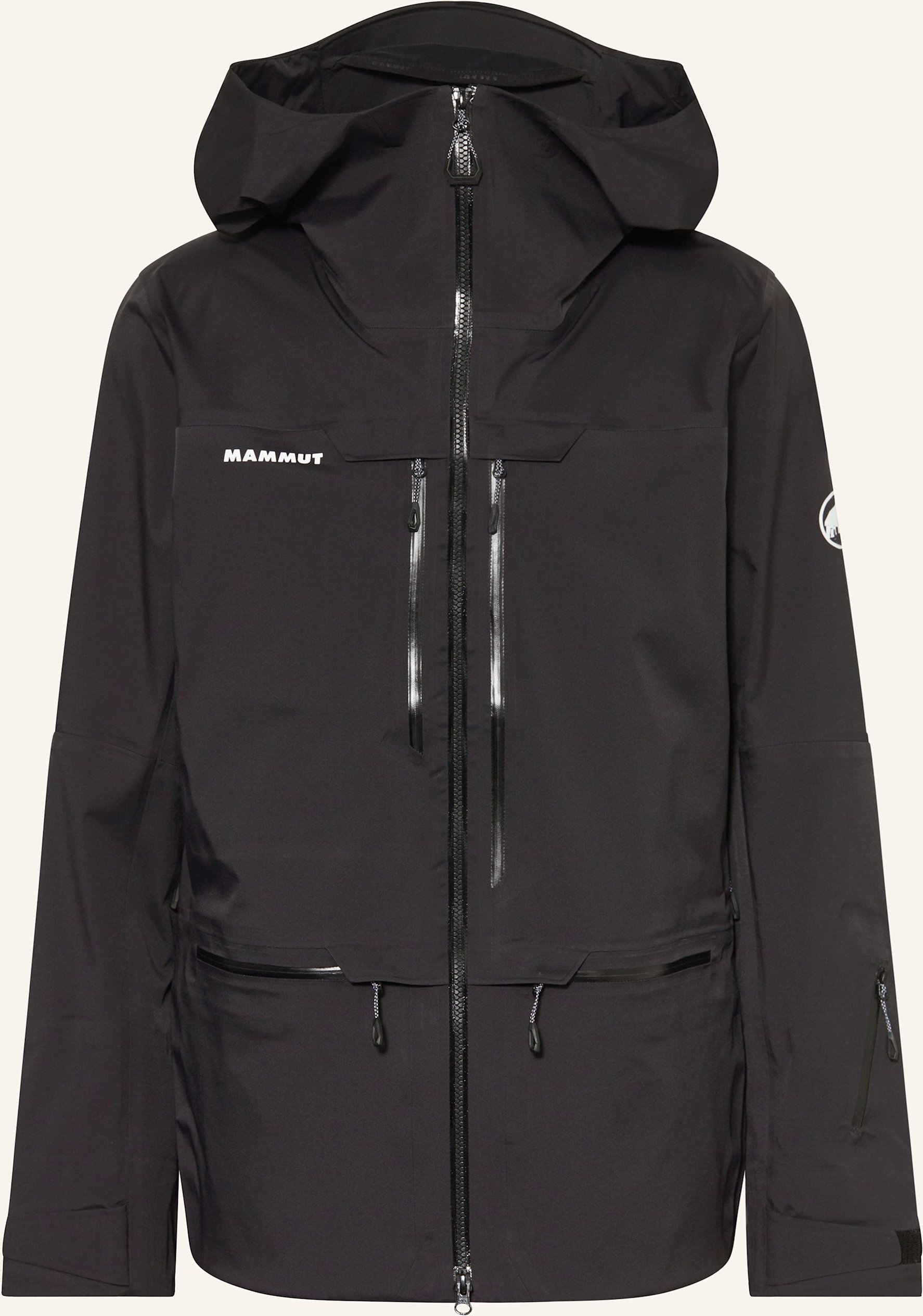 Mammut Hardshell-Skijacke Haldigrat schwarz