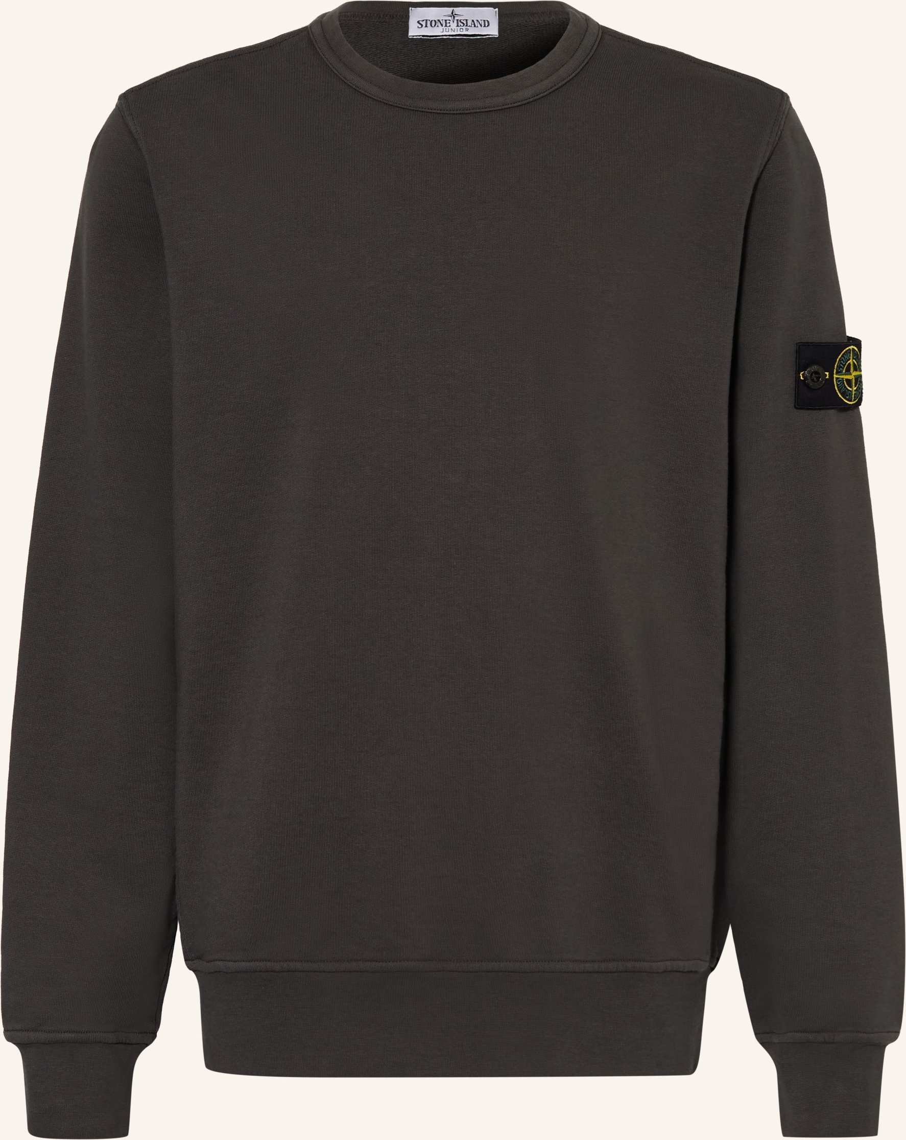 Stone Island Junior Sweatshirt grau