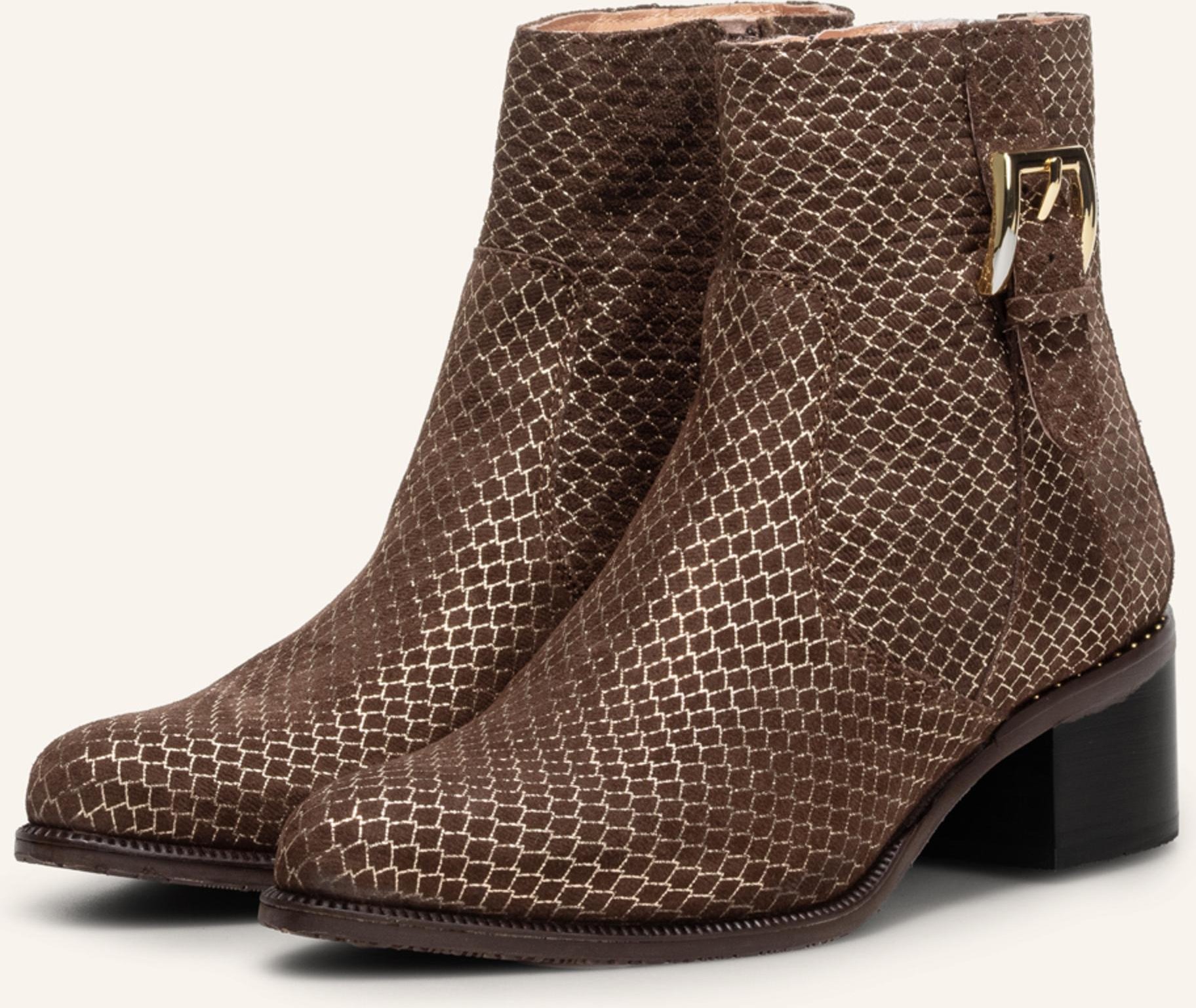 Floris Van Bommel Stiefelette Evi 05 braun