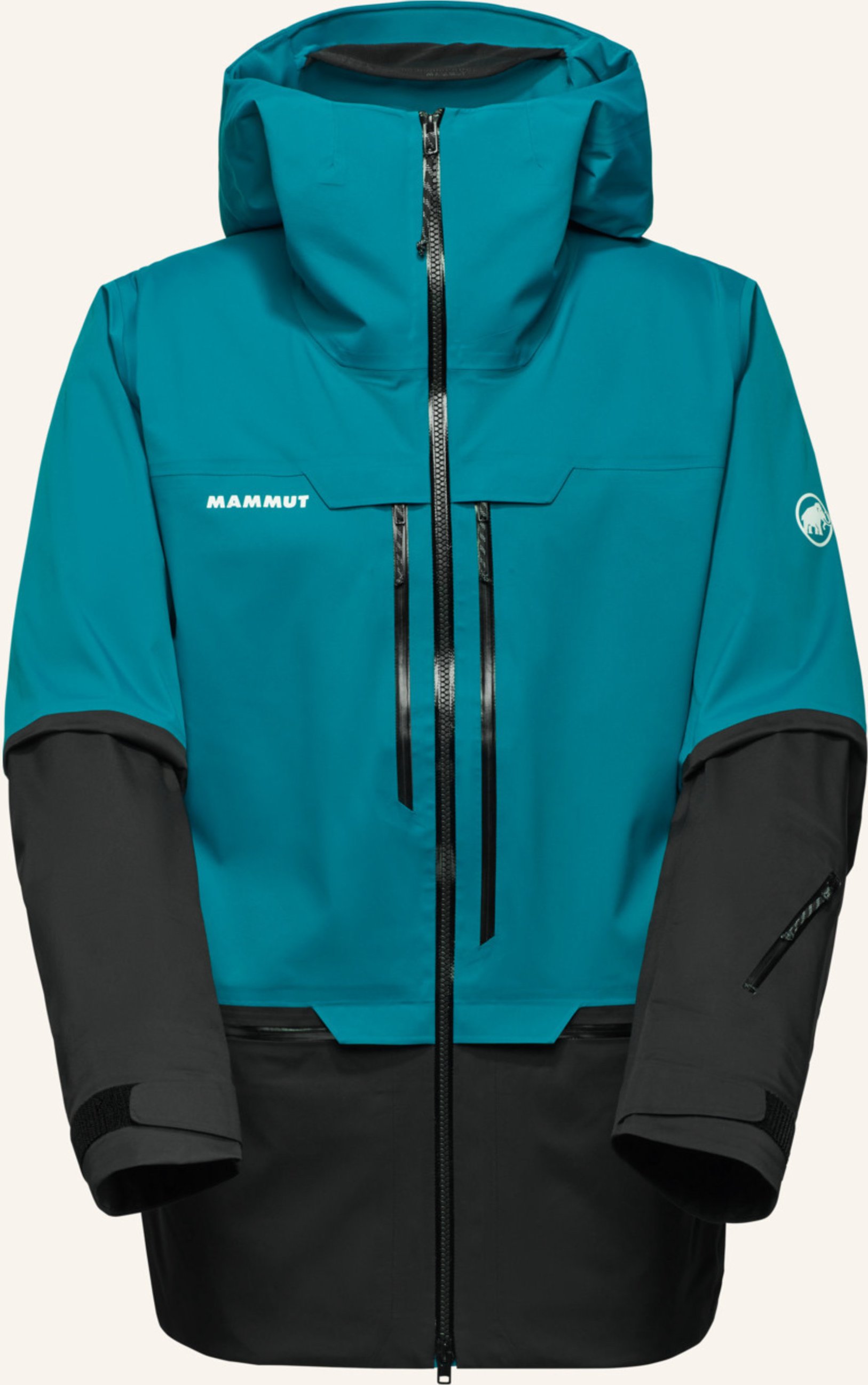 Mammut Hardshell-Skijacke Haldigrat gruen