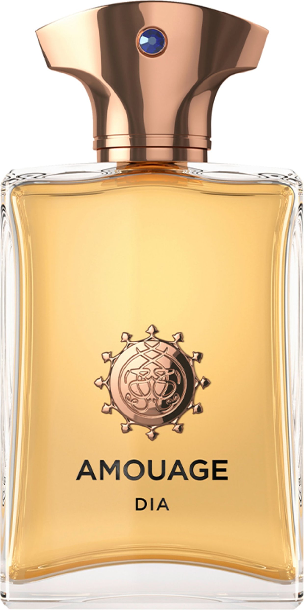 Amouage Dia Man Eau de Parfum 100 ml