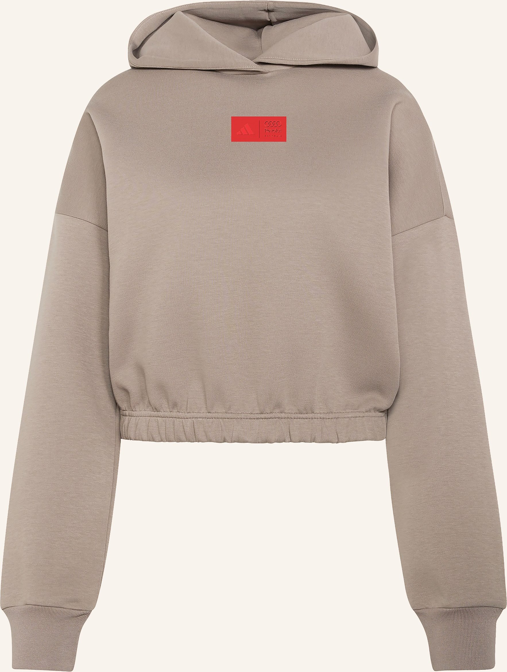 Adidas Hoodie Audi Formula One Team Elevated braun