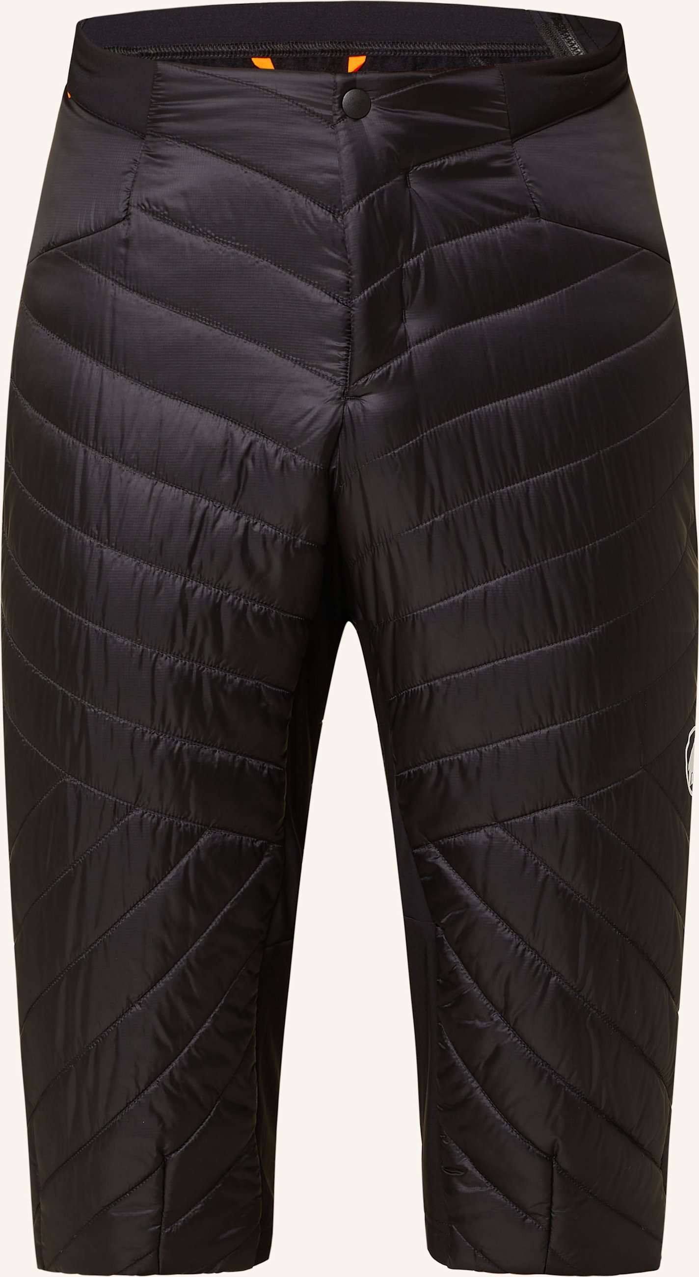 Mammut Shorts Aenergy In schwarz