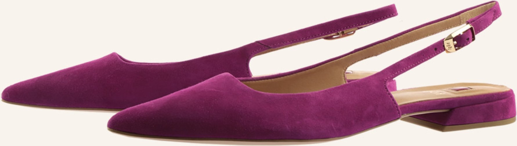 Högl Slingballerinas Sophie lila
