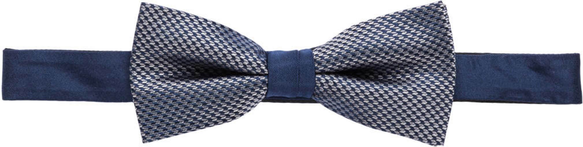 Paul Set: Fliege Und Einstecktuch blau