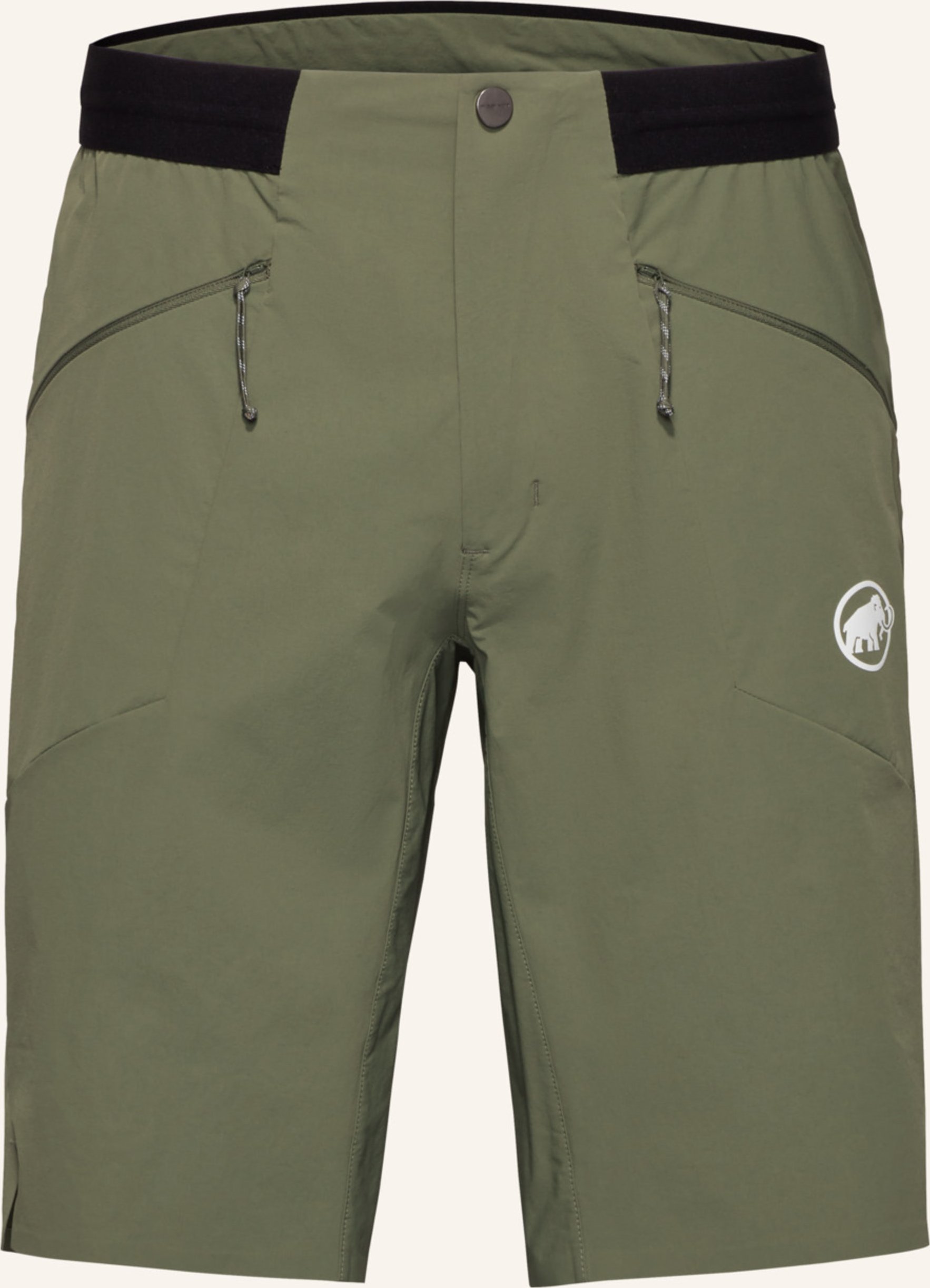 Mammut Outdoor-Shorts Aenergy Light gruen