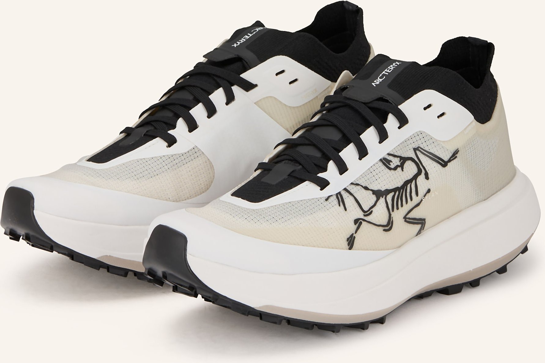 Arc'teryx Trailrunning-Schuhe Sylan Pro weiss