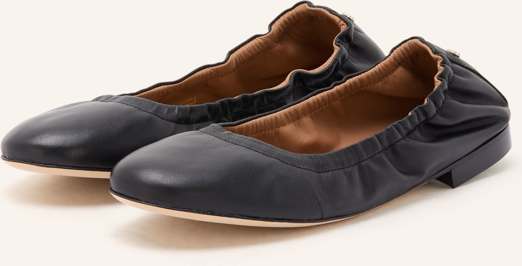 Boss Ballerinas Rosaline schwarz